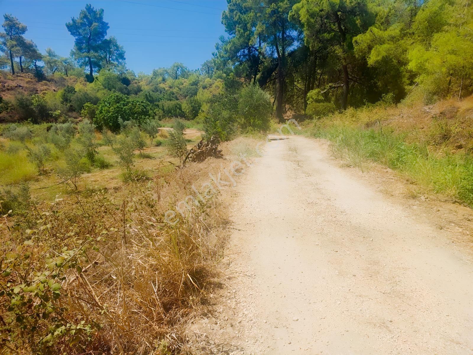Fethiye Kargı Mahallesinde Müstakil Tapulu Satılık 504m2 Tarla — fotoğraf 12