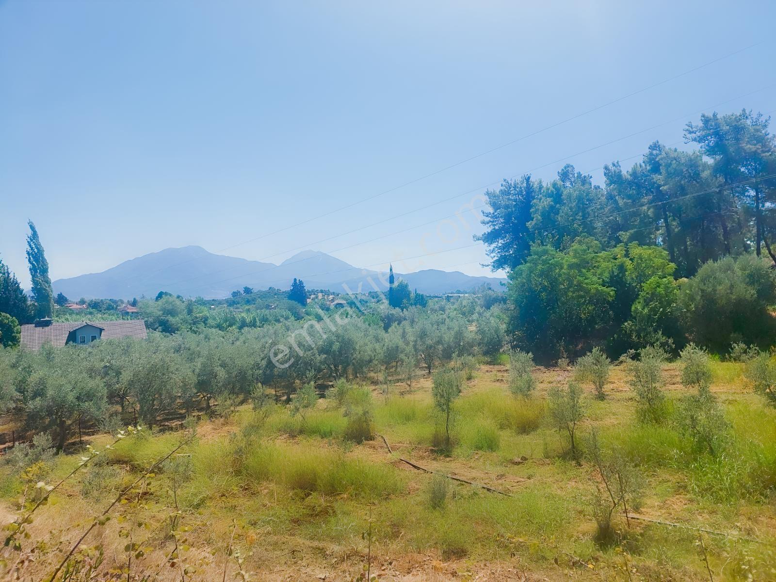 Fethiye Kargı Mahallesinde Müstakil Tapulu Satılık 504m2 Tarla — fotoğraf 14