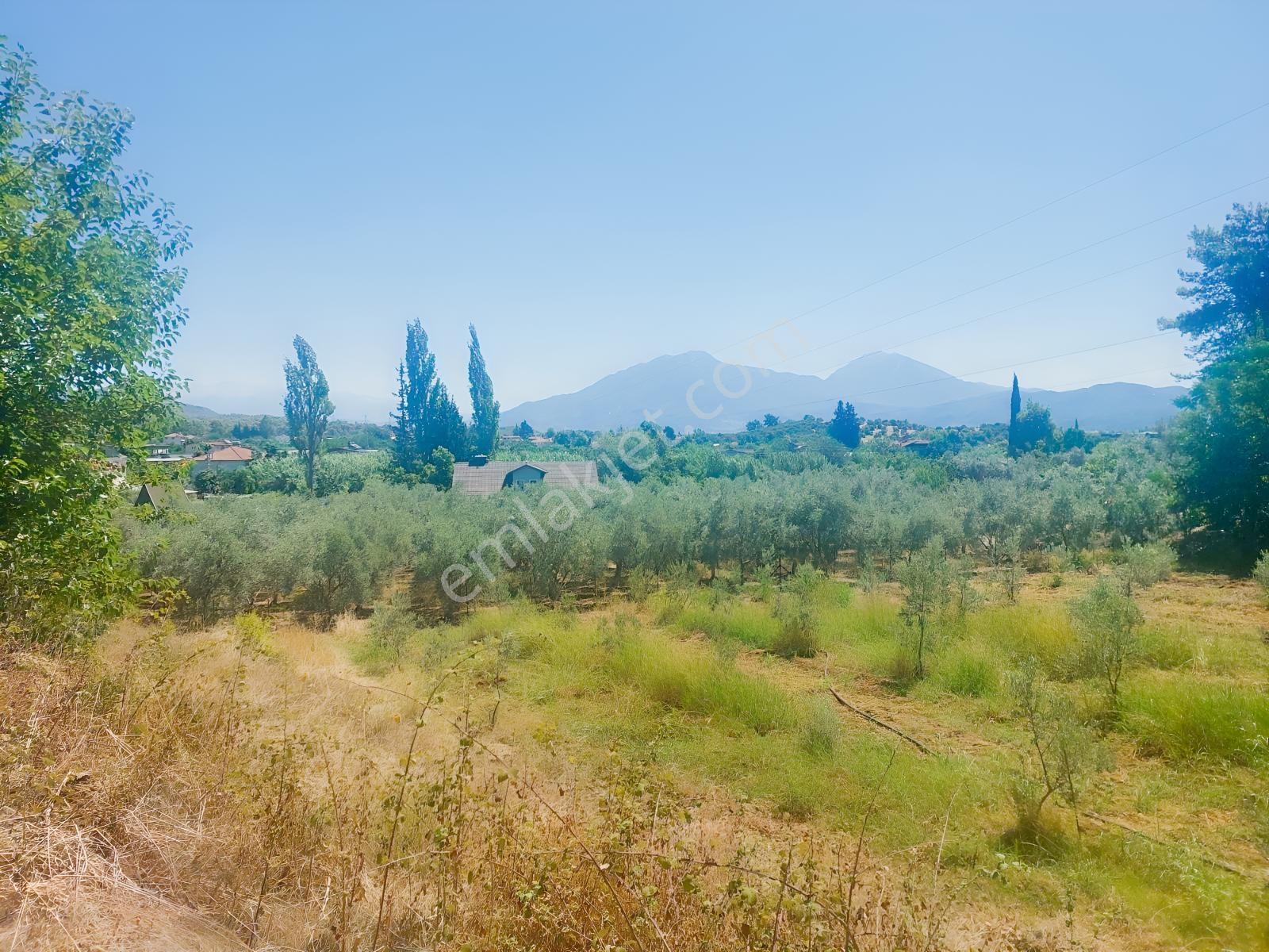 Fethiye Kargı Mahallesinde Müstakil Tapulu Satılık 504m2 Tarla — fotoğraf 15