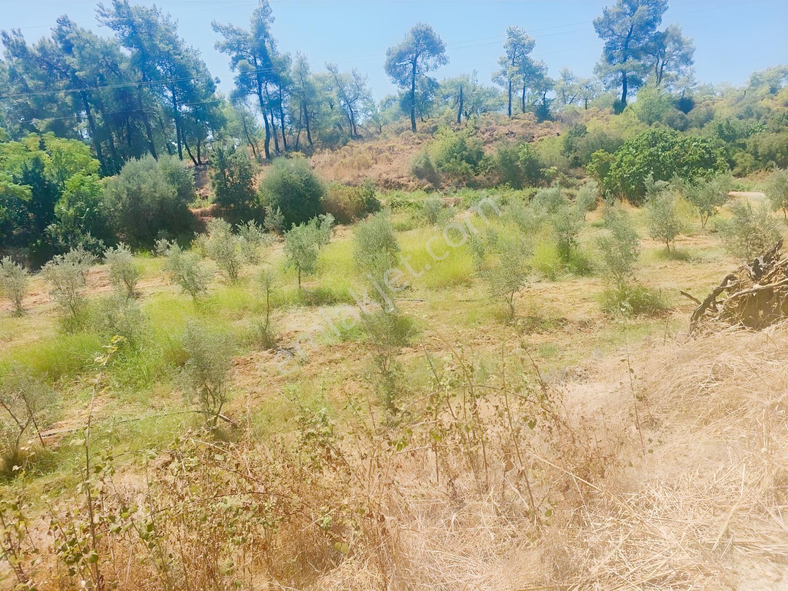 Fethiye Kargı Mahallesinde Müstakil Tapulu Satılık 504m2 Tarla — fotoğraf 16