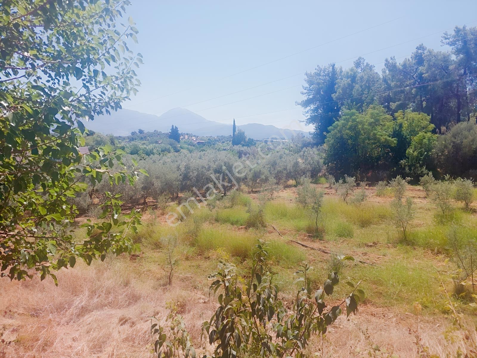 Fethiye Kargı Mahallesinde Müstakil Tapulu Satılık 504m2 Tarla — fotoğraf 17