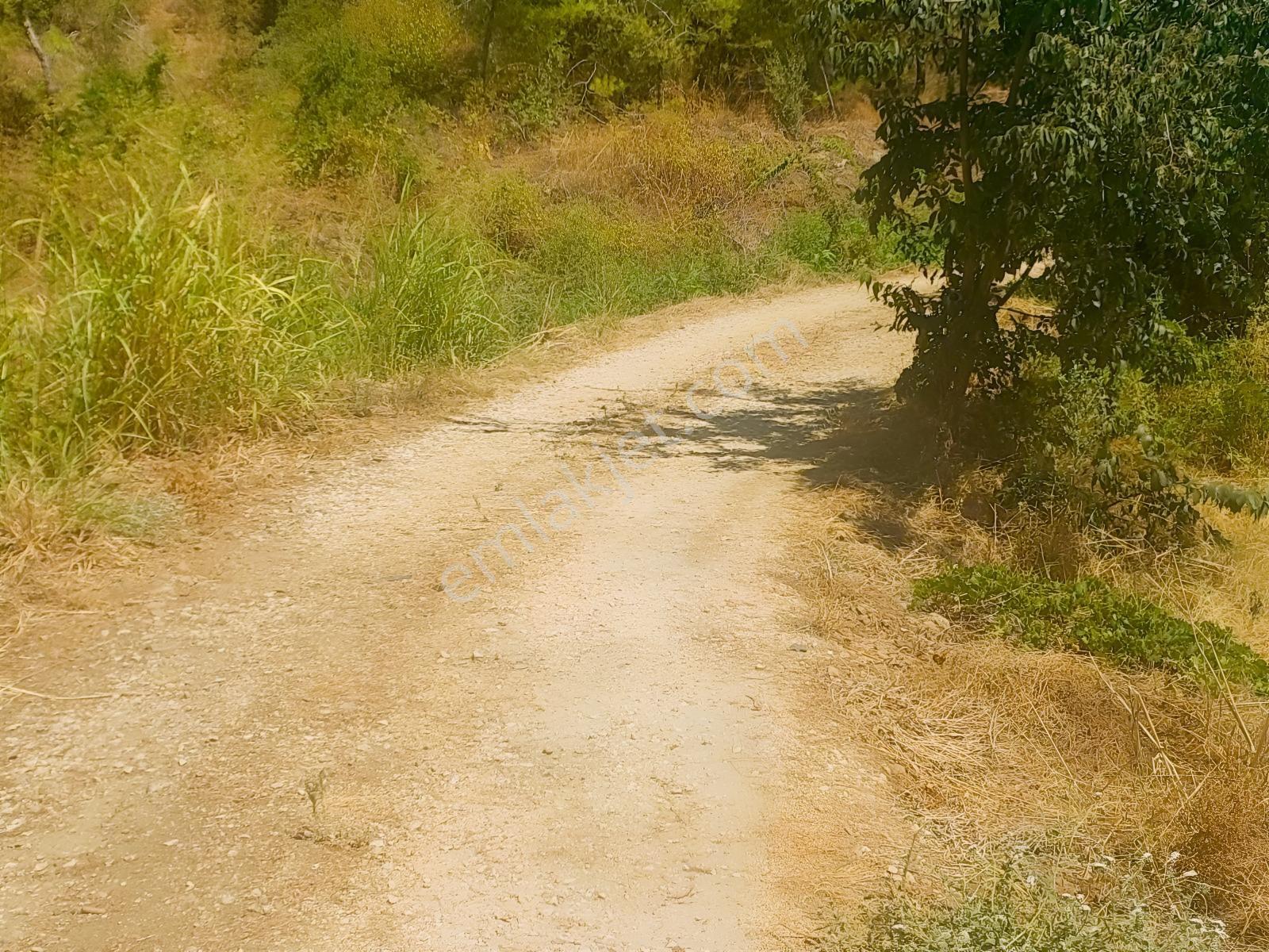 Fethiye Kargı Mahallesinde Müstakil Tapulu Satılık 504m2 Tarla — fotoğraf 21