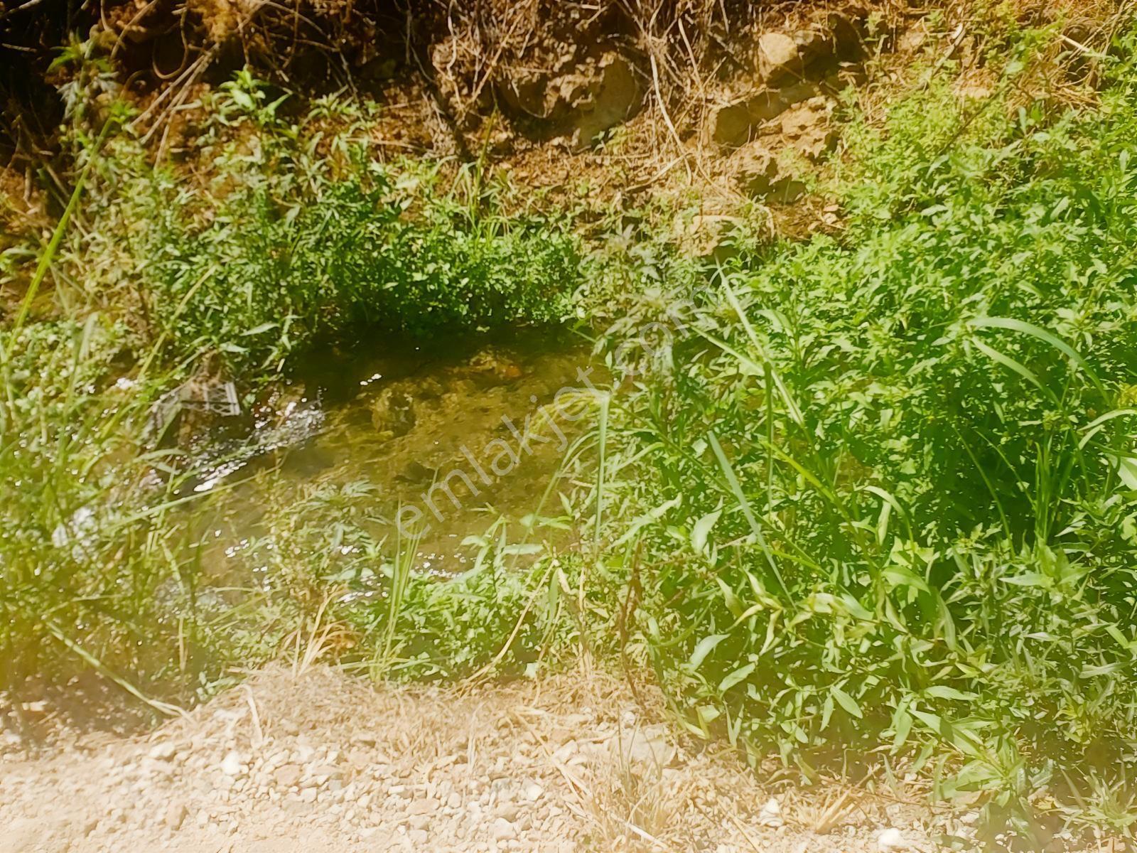 Fethiye Kargı Mahallesinde Müstakil Tapulu Satılık 504m2 Tarla — fotoğraf 22