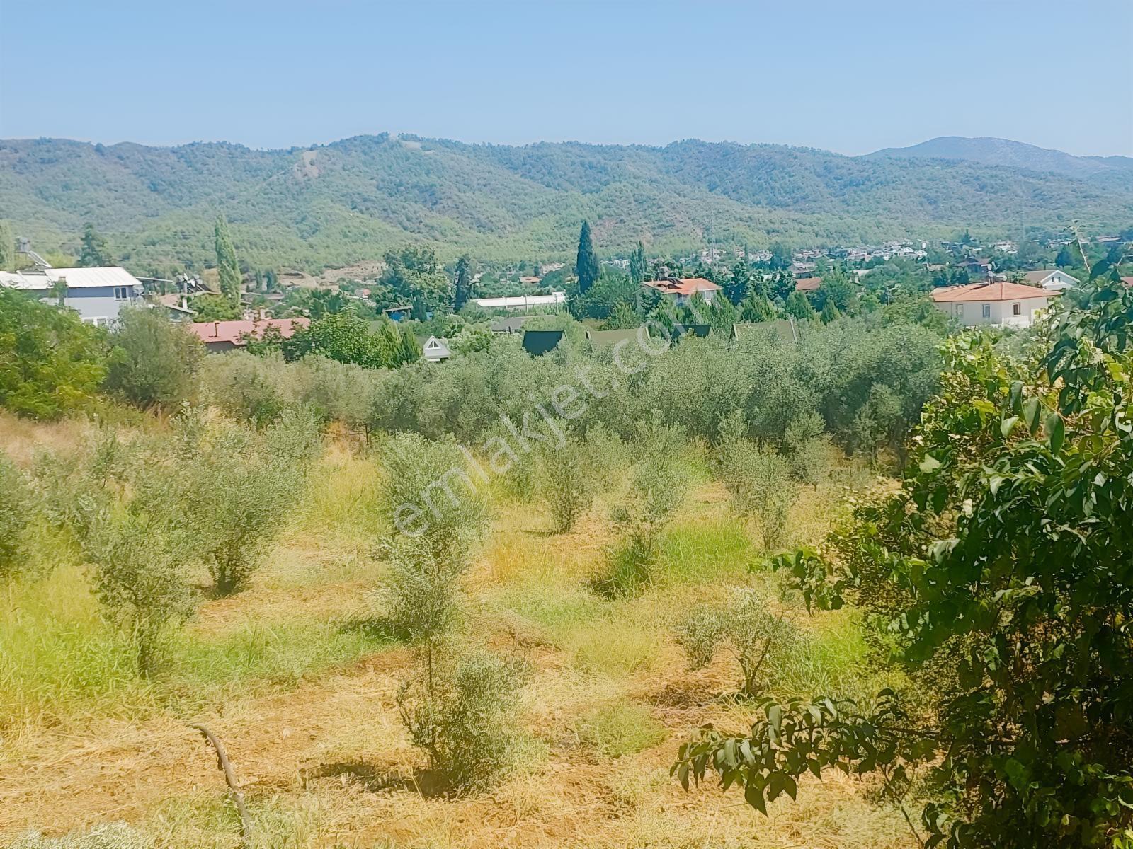 Fethiye Kargı Mahallesinde Müstakil Tapulu Satılık 504m2 Tarla — fotoğraf 24