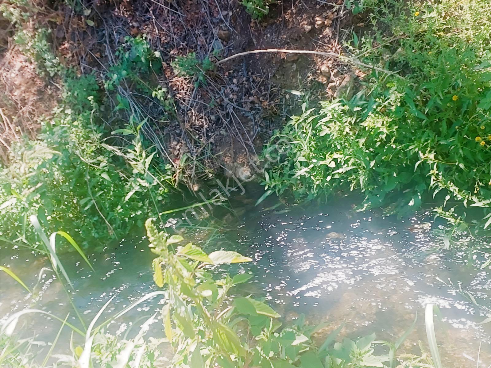 Fethiye Kargı Mahallesinde Müstakil Tapulu Satılık 504m2 Tarla — fotoğraf 25