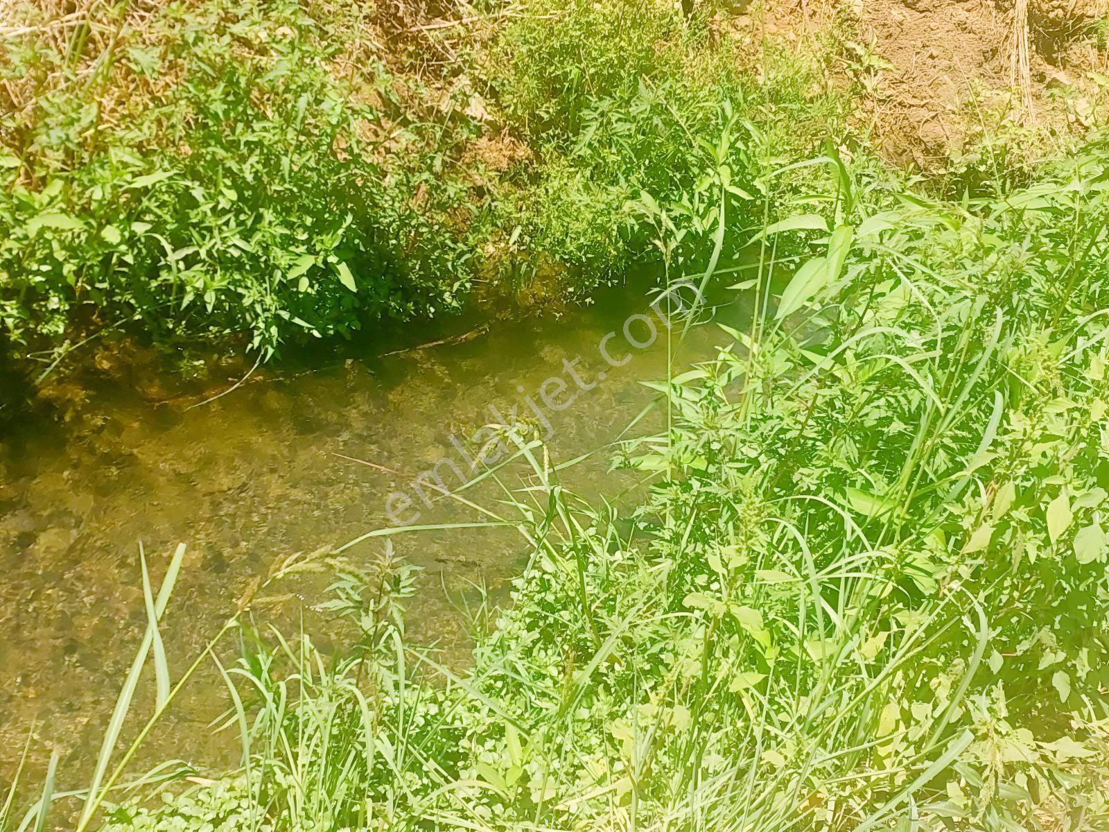 Fethiye Kargı Mahallesinde Müstakil Tapulu Satılık 504m2 Tarla — fotoğraf 26