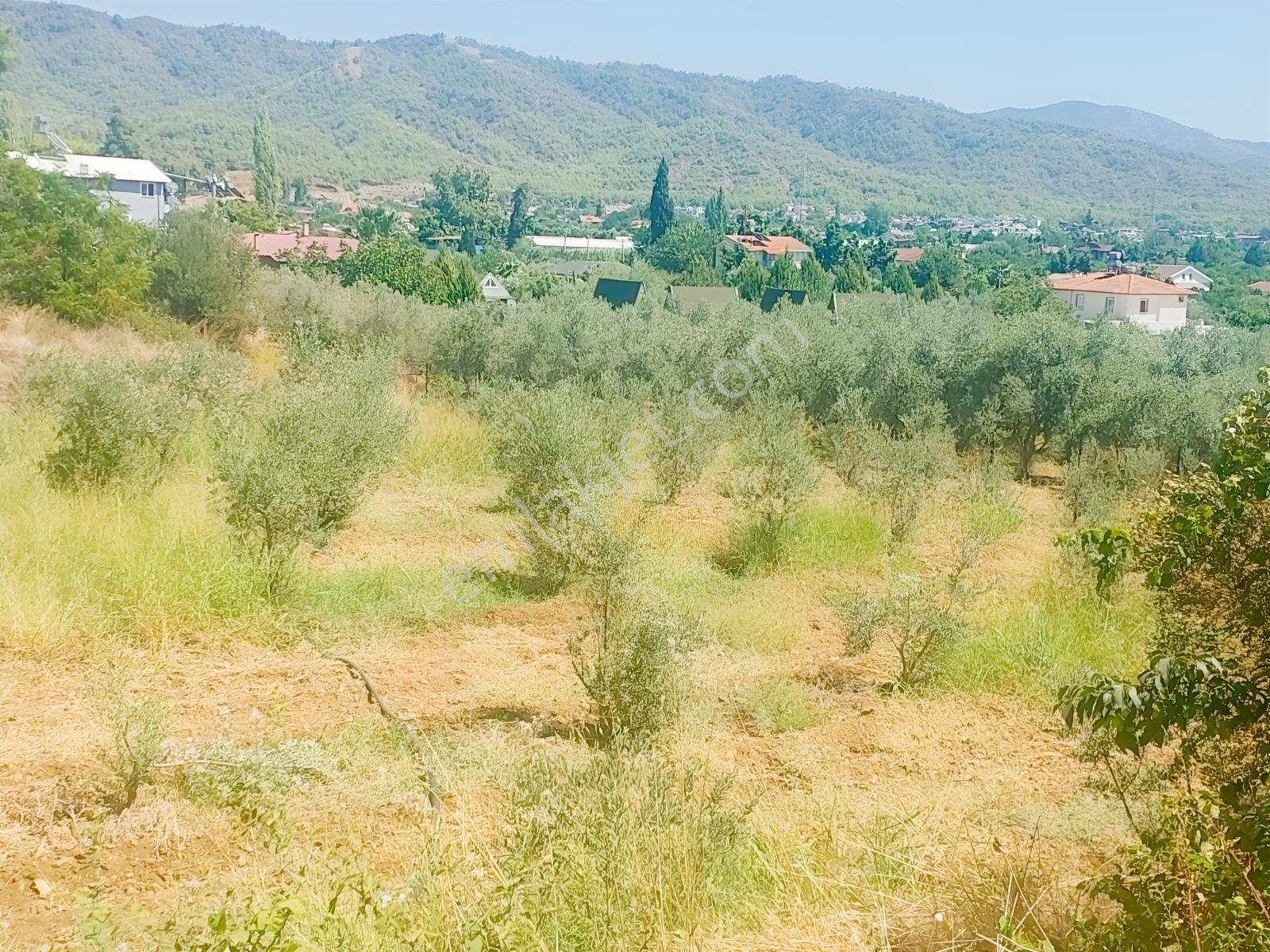 Fethiye Kargı Mahallesinde Müstakil Tapulu Satılık 504m2 Tarla — fotoğraf 27