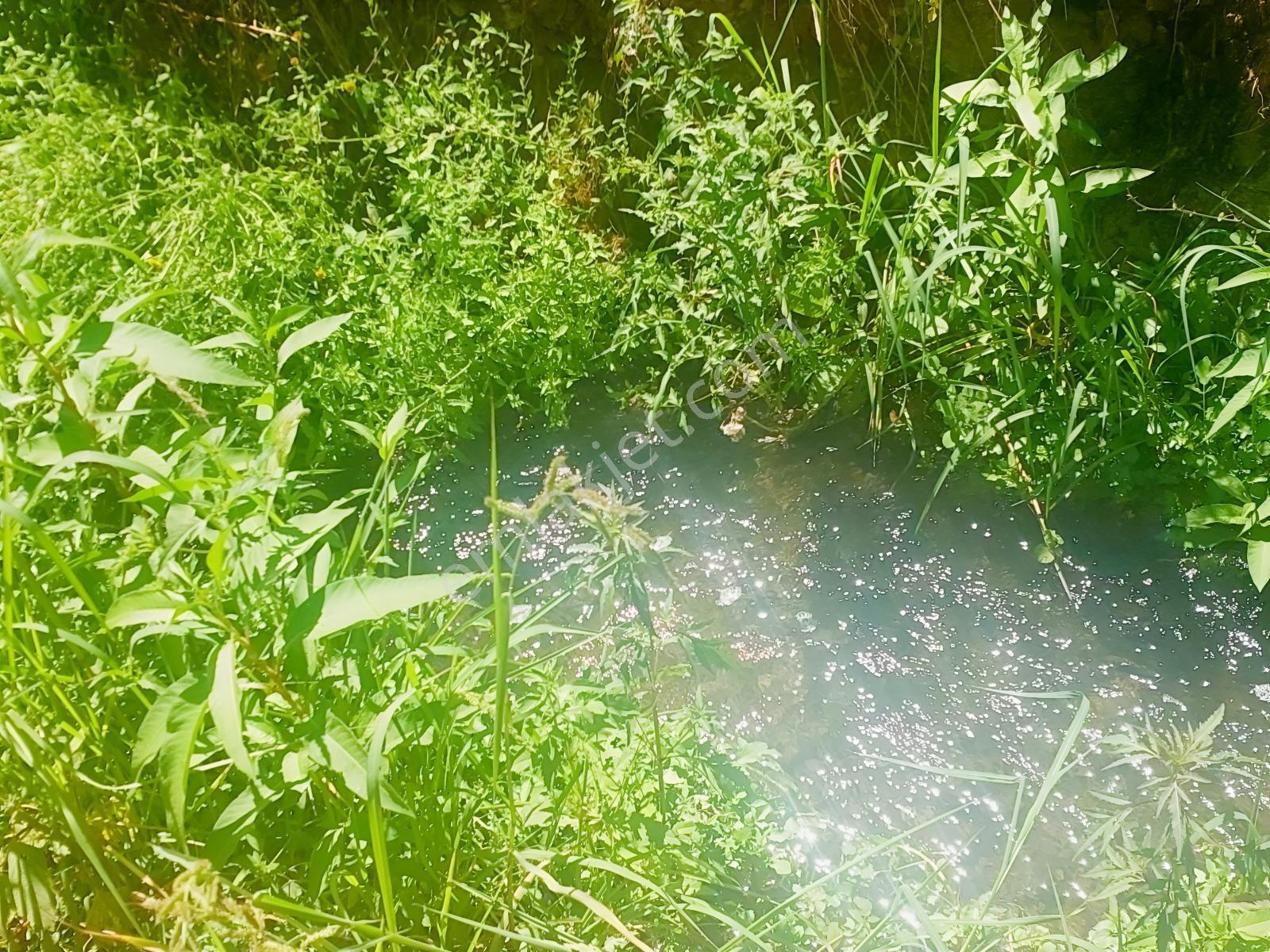 Fethiye Kargı Mahallesinde Müstakil Tapulu Satılık 504m2 Tarla — fotoğraf 28