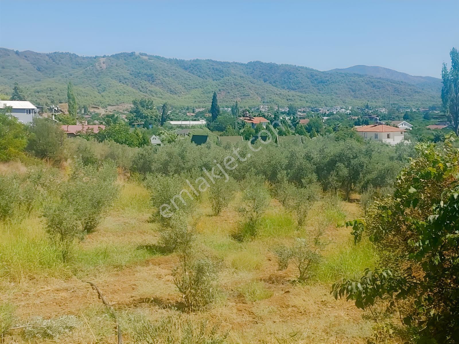 Fethiye Kargı Mahallesinde Müstakil Tapulu Satılık 504m2 Tarla — fotoğraf 29