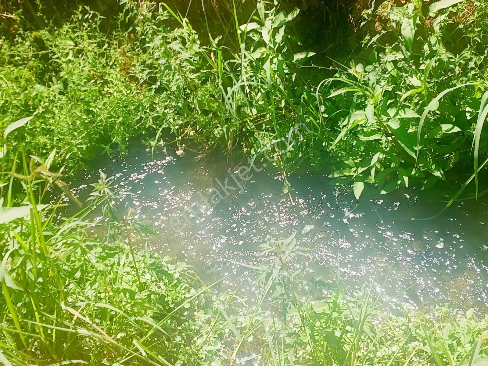 Fethiye Kargı Mahallesinde Müstakil Tapulu Satılık 504m2 Tarla — fotoğraf 30