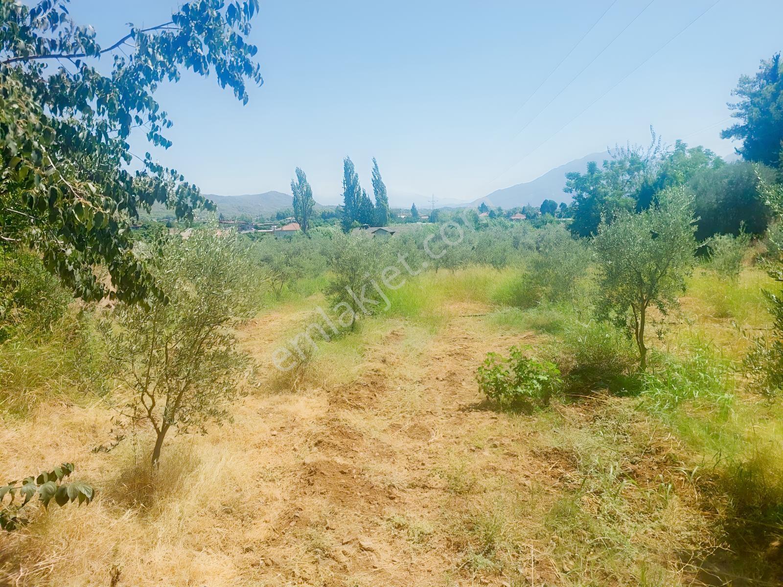 Fethiye Kargı Mahallesinde Müstakil Tapulu Satılık 504m2 Tarla — fotoğraf 31