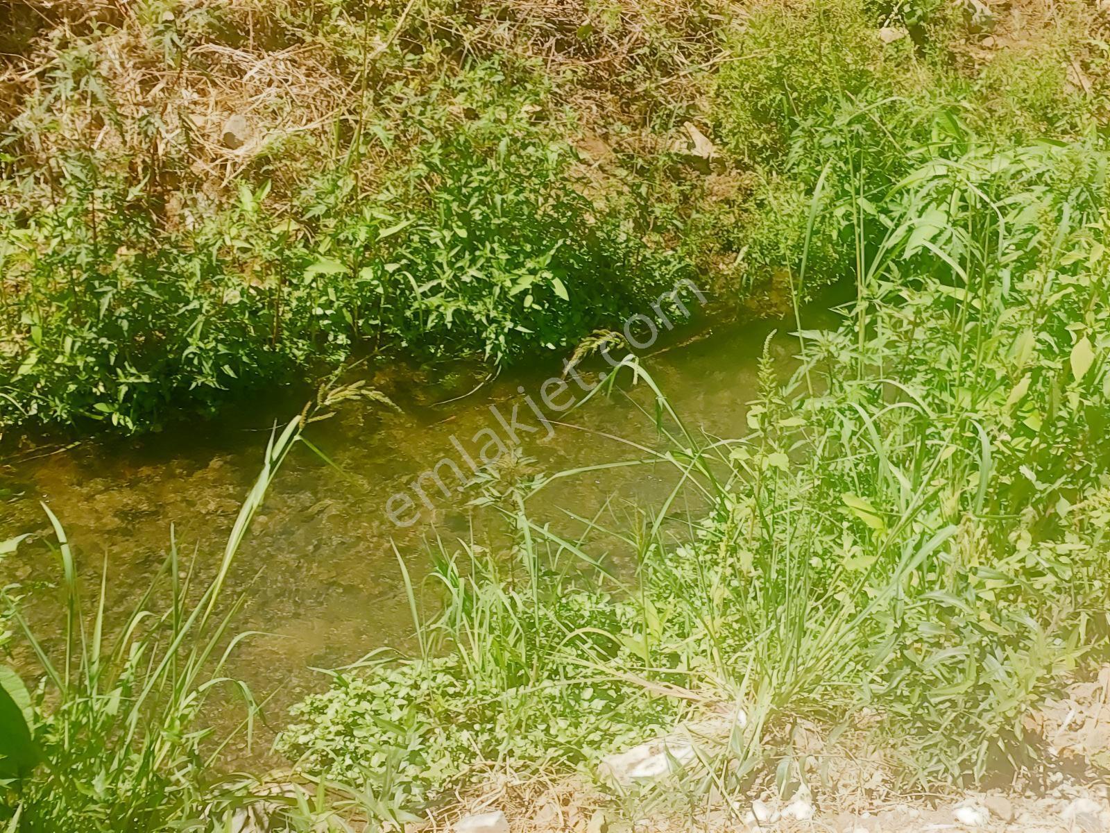 Fethiye Kargı Mahallesinde Müstakil Tapulu Satılık 504m2 Tarla — fotoğraf 32