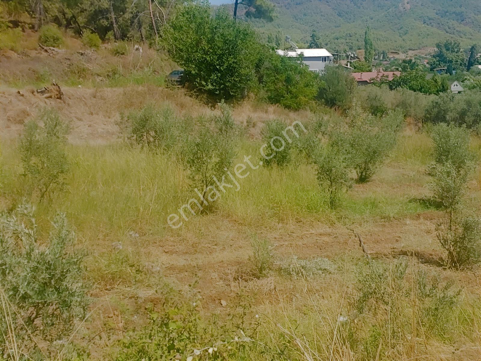 Fethiye Kargı Mahallesinde Müstakil Tapulu Satılık 504m2 Tarla — fotoğraf 33