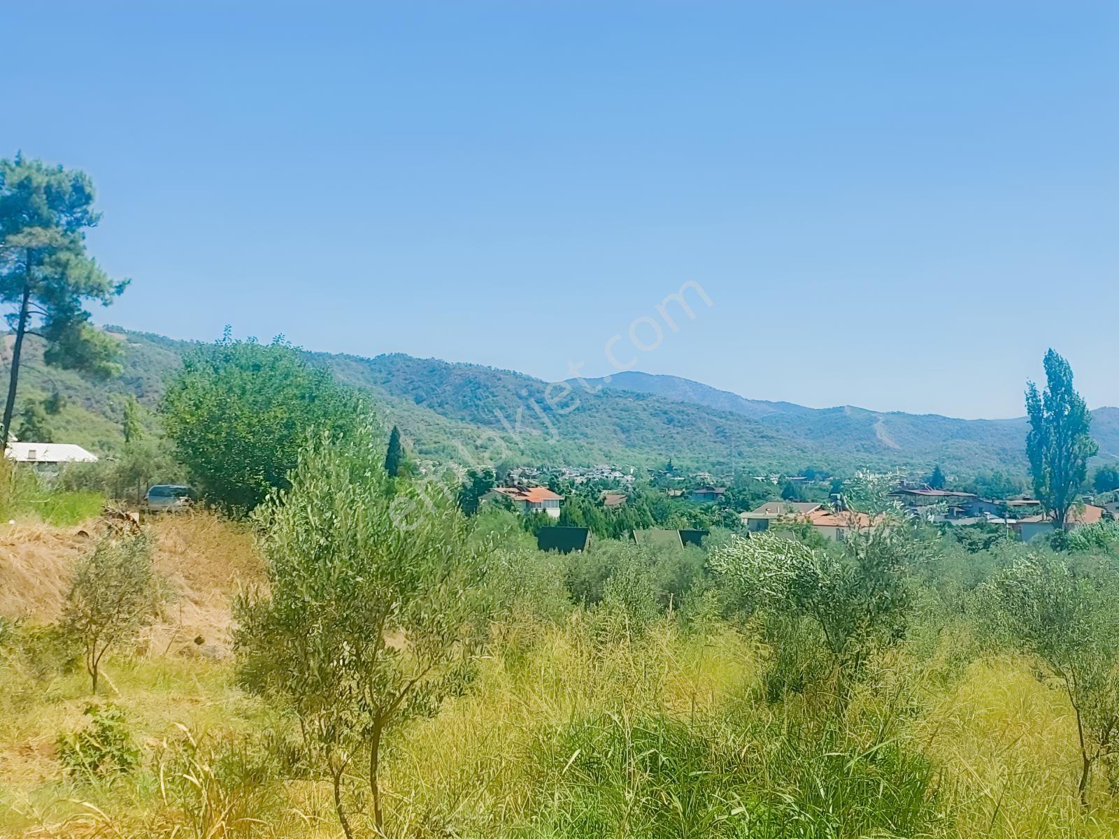 Fethiye Kargı Mahallesinde Müstakil Tapulu Satılık 504m2 Tarla — fotoğraf 34