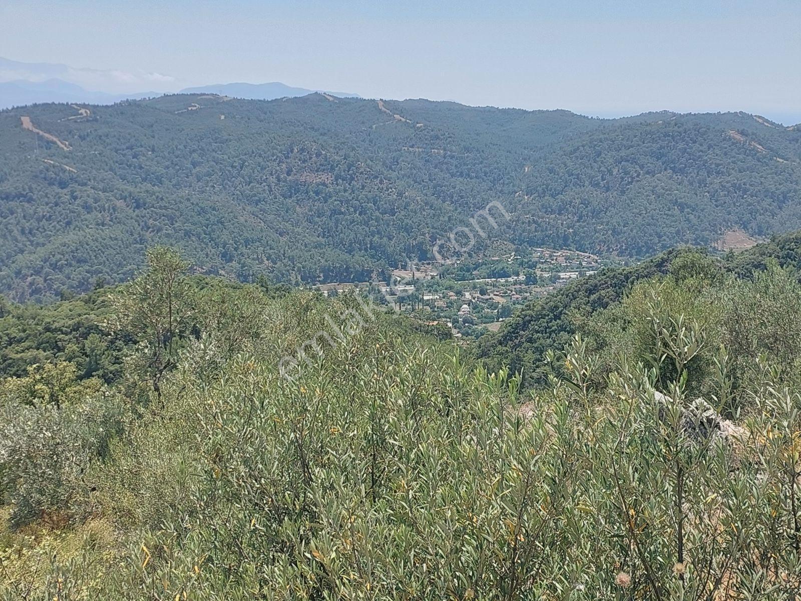 Fethiye İnlice Mh.de Müstakil Satılık 2785 M2 Tarım Dışı Arazi