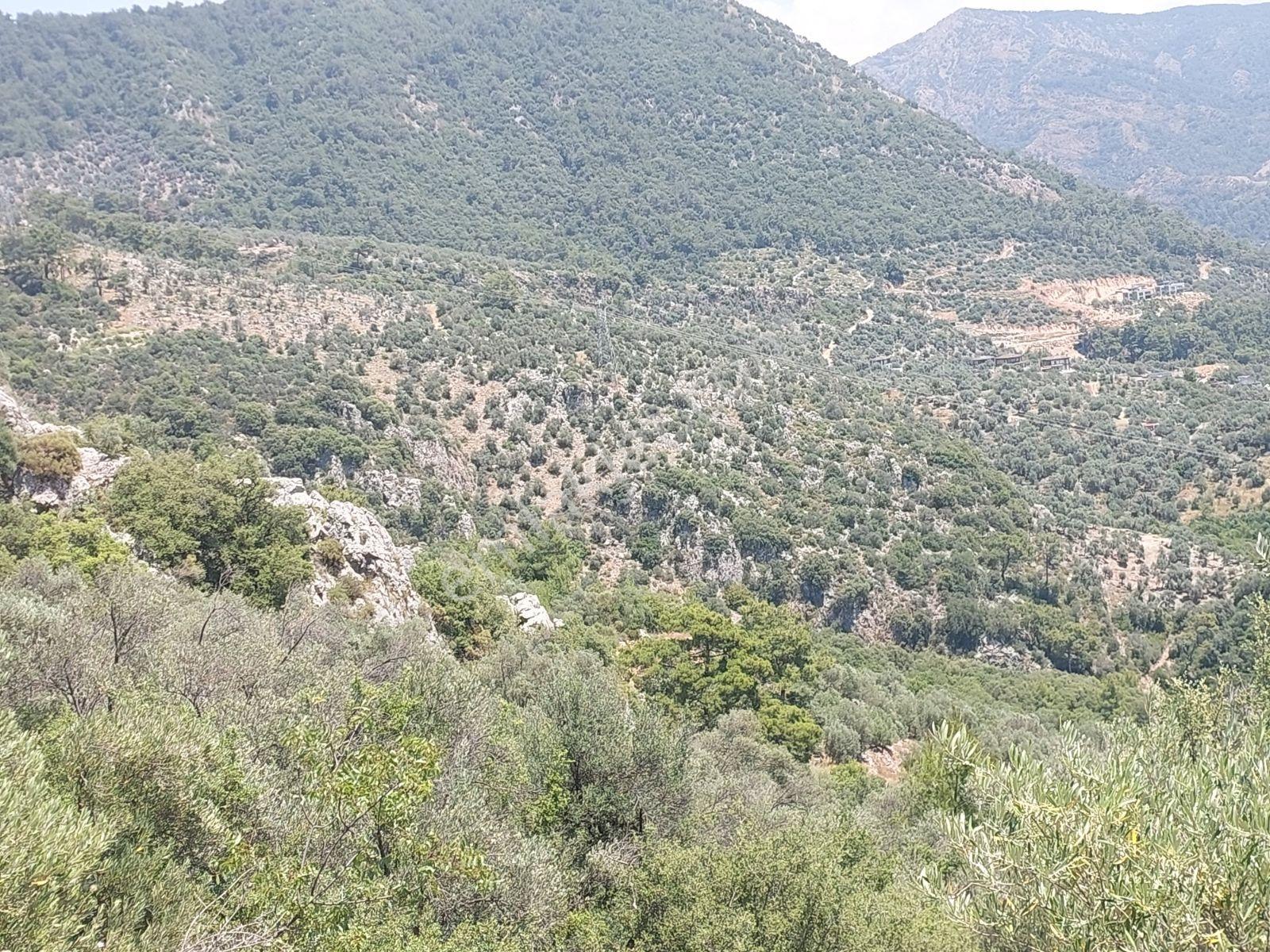 Fethiye İnlice Mh.de Müstakil Satılık 2785 M2 Tarım Dışı Arazi — fotoğraf 3