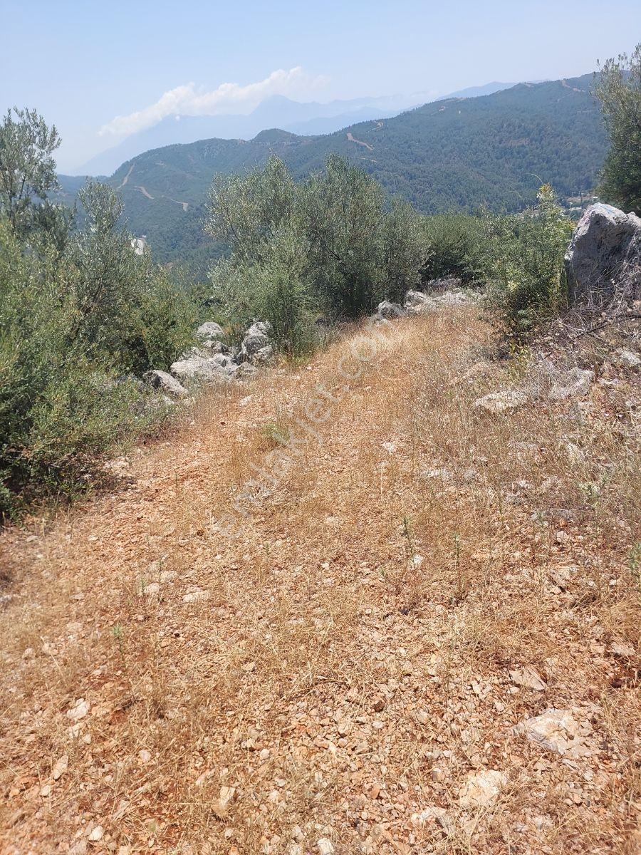 Fethiye İnlice Mh.de Müstakil Satılık 2785 M2 Tarım Dışı Arazi — fotoğraf 4