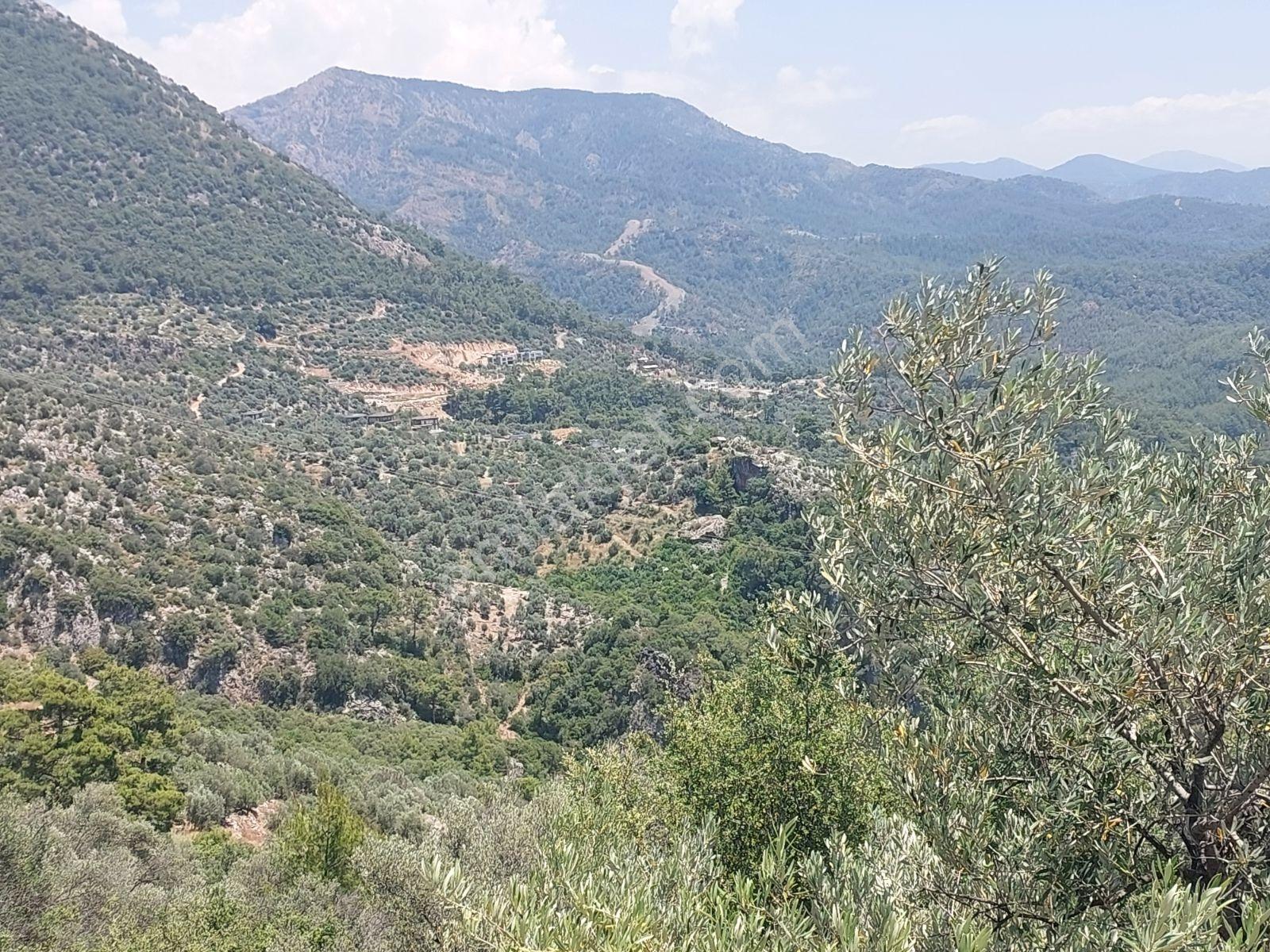 Fethiye İnlice Mh.de Müstakil Satılık 2785 M2 Tarım Dışı Arazi — fotoğraf 6