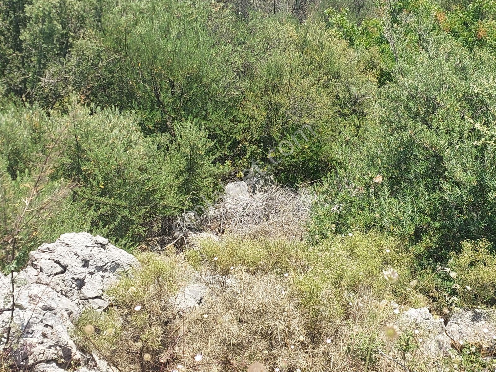 Fethiye İnlice Mh.de Müstakil Satılık 2785 M2 Tarım Dışı Arazi — fotoğraf 7