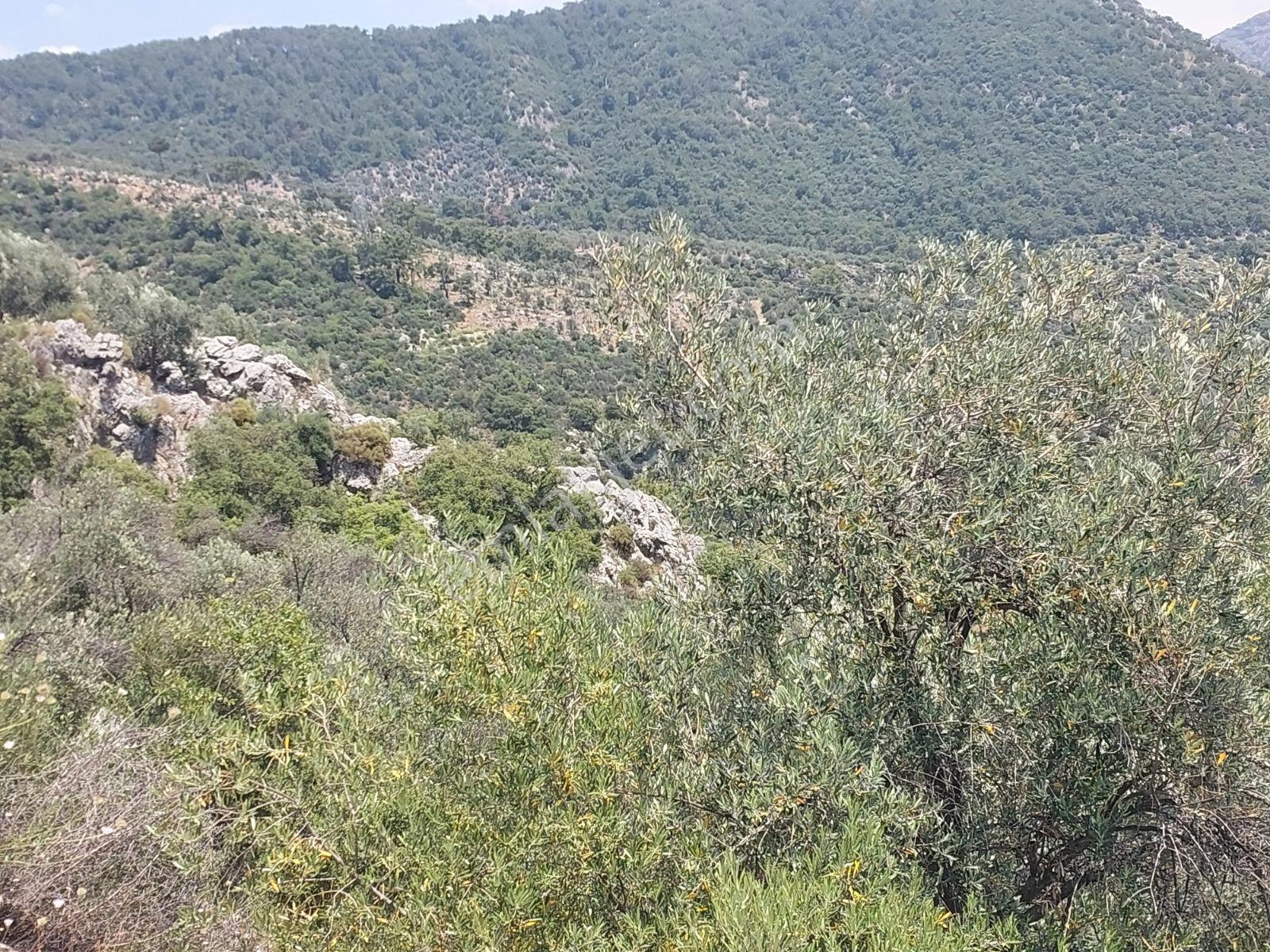 Fethiye İnlice Mh.de Müstakil Satılık 2785 M2 Tarım Dışı Arazi — fotoğraf 8
