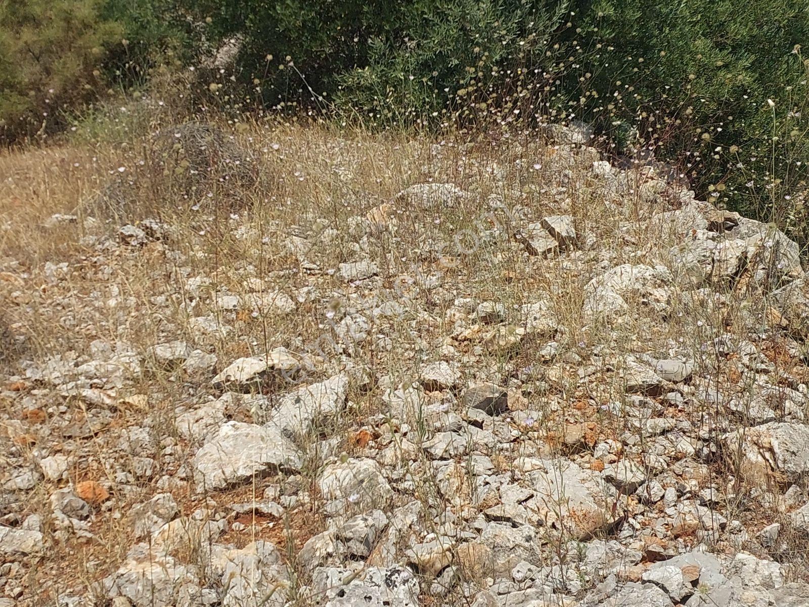 Fethiye İnlice Mh.de Müstakil Satılık 2785 M2 Tarım Dışı Arazi — fotoğraf 10