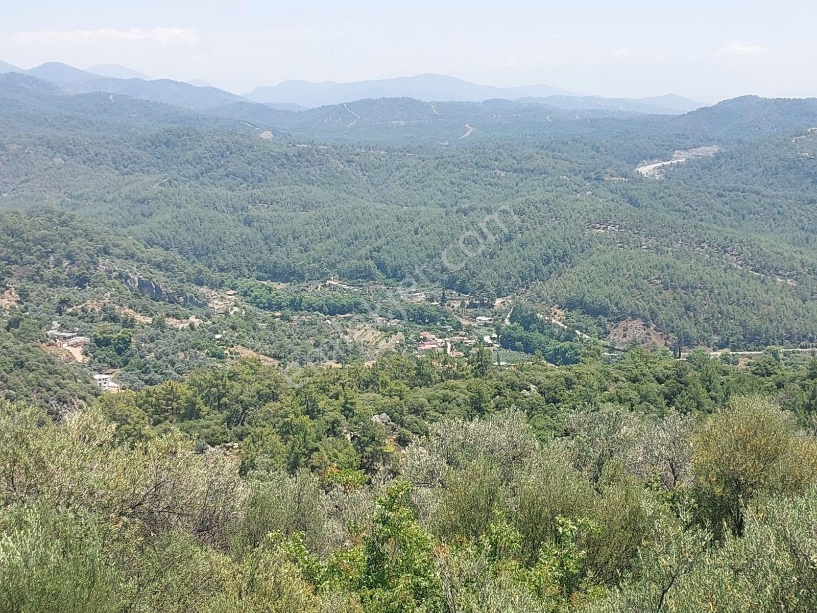 Fethiye İnlice Mh.de Müstakil Satılık 2785 M2 Tarım Dışı Arazi — fotoğraf 11