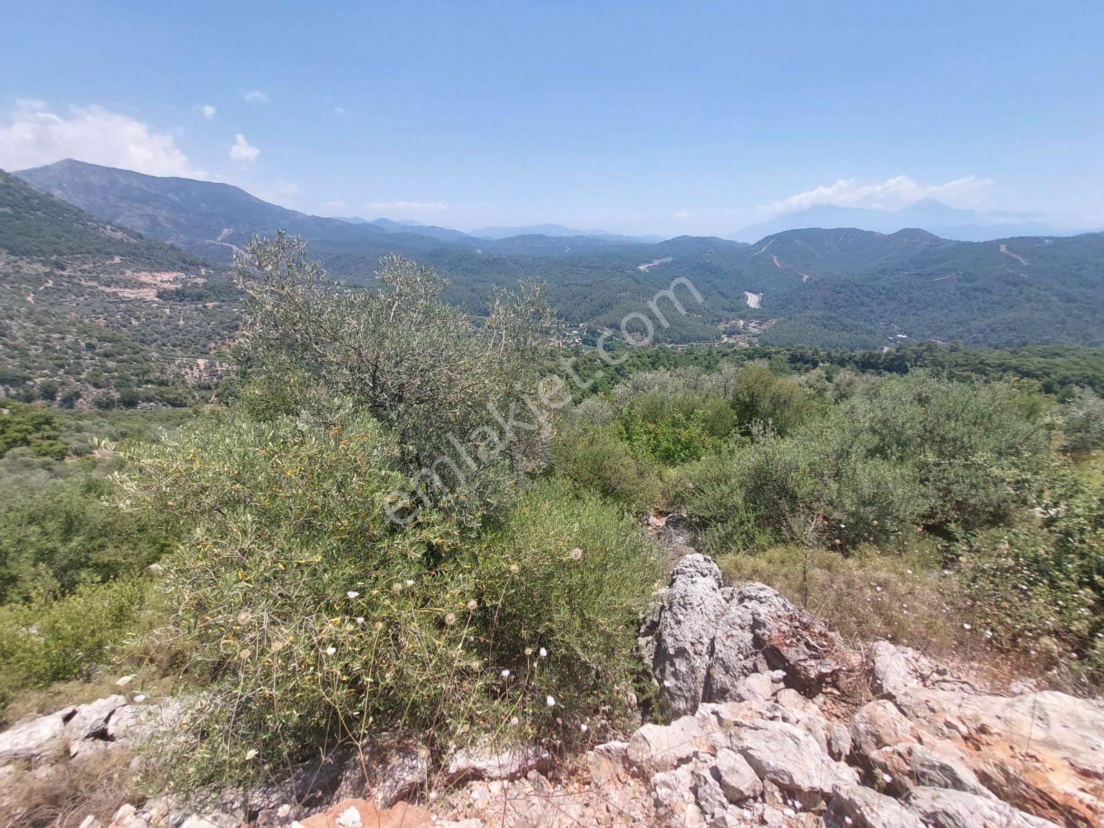 Fethiye İnlice Mh.de Müstakil Satılık 2785 M2 Tarım Dışı Arazi — fotoğraf 12