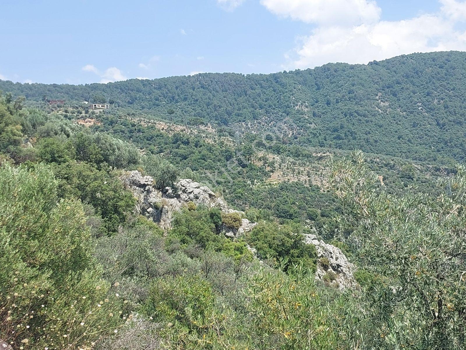 Fethiye İnlice Mh.de Müstakil Satılık 2785 M2 Tarım Dışı Arazi — fotoğraf 13