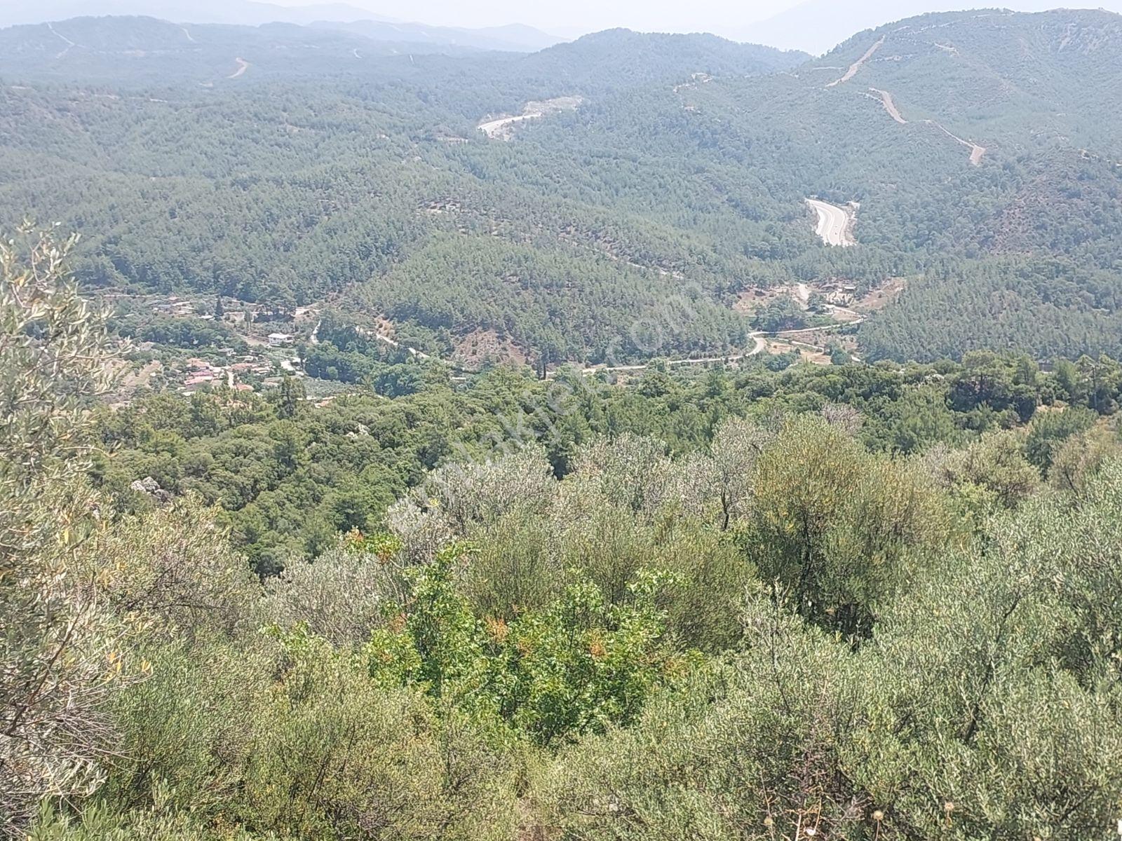 Fethiye İnlice Mh.de Müstakil Satılık 2785 M2 Tarım Dışı Arazi — fotoğraf 14
