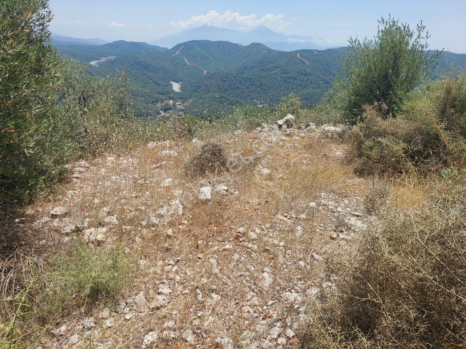 Fethiye İnlice Mh.de Müstakil Satılık 2785 M2 Tarım Dışı Arazi — fotoğraf 15
