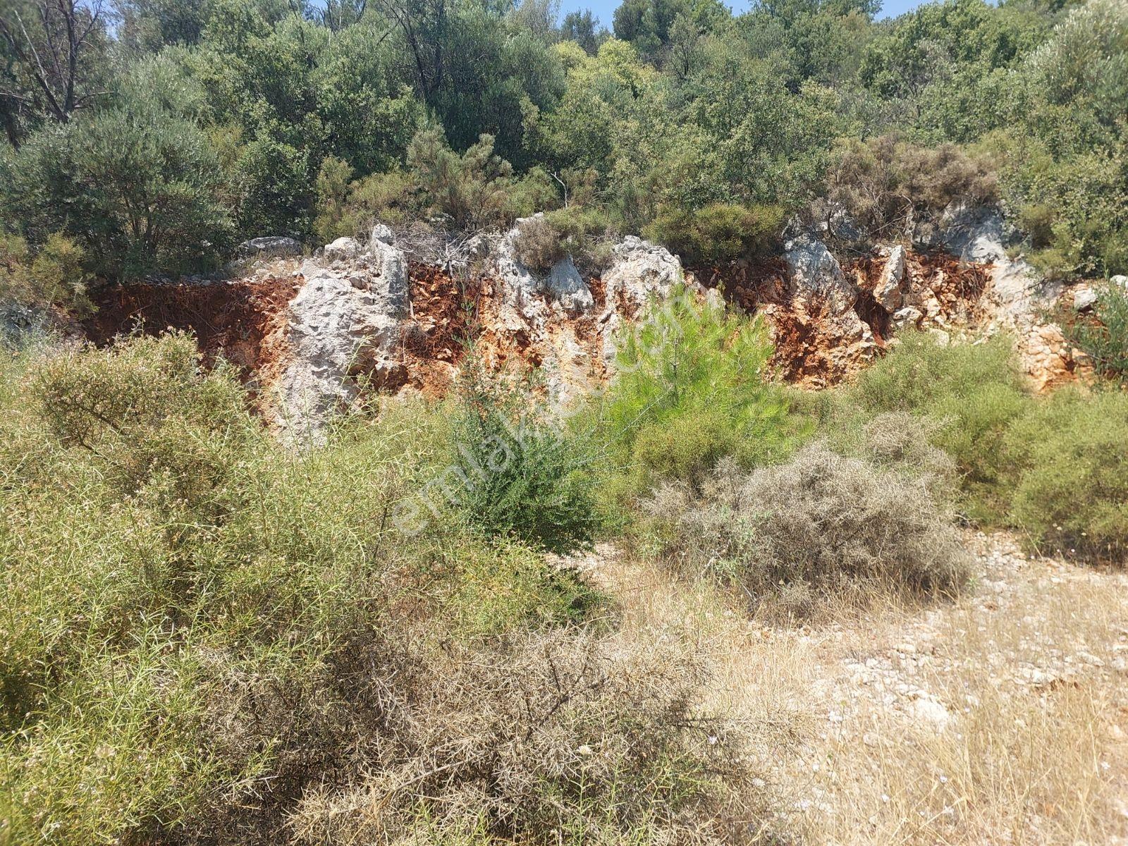 Fethiye İnlice Mh.de Müstakil Satılık 2785 M2 Tarım Dışı Arazi — fotoğraf 16