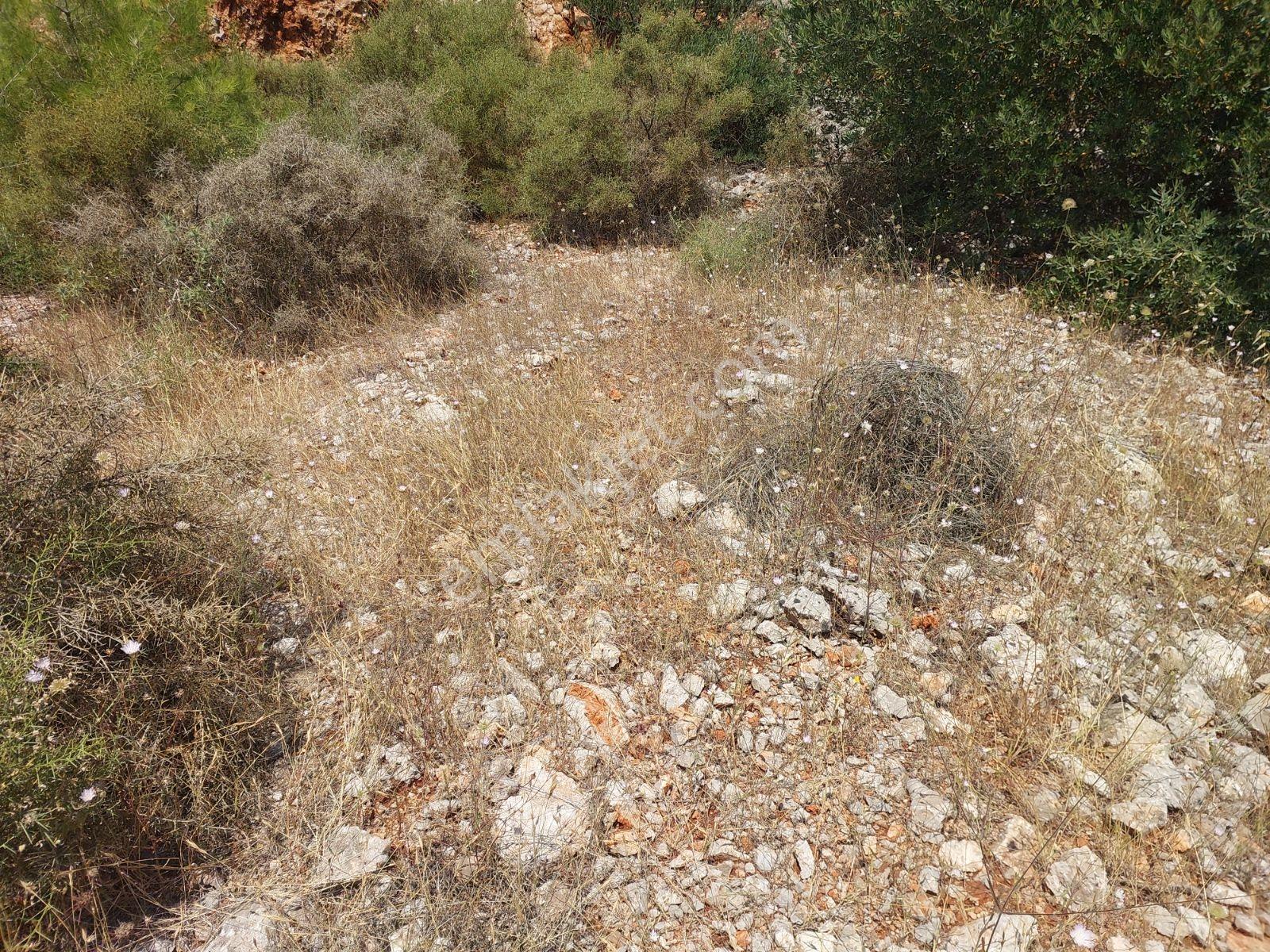 Fethiye İnlice Mh.de Müstakil Satılık 2785 M2 Tarım Dışı Arazi — fotoğraf 19