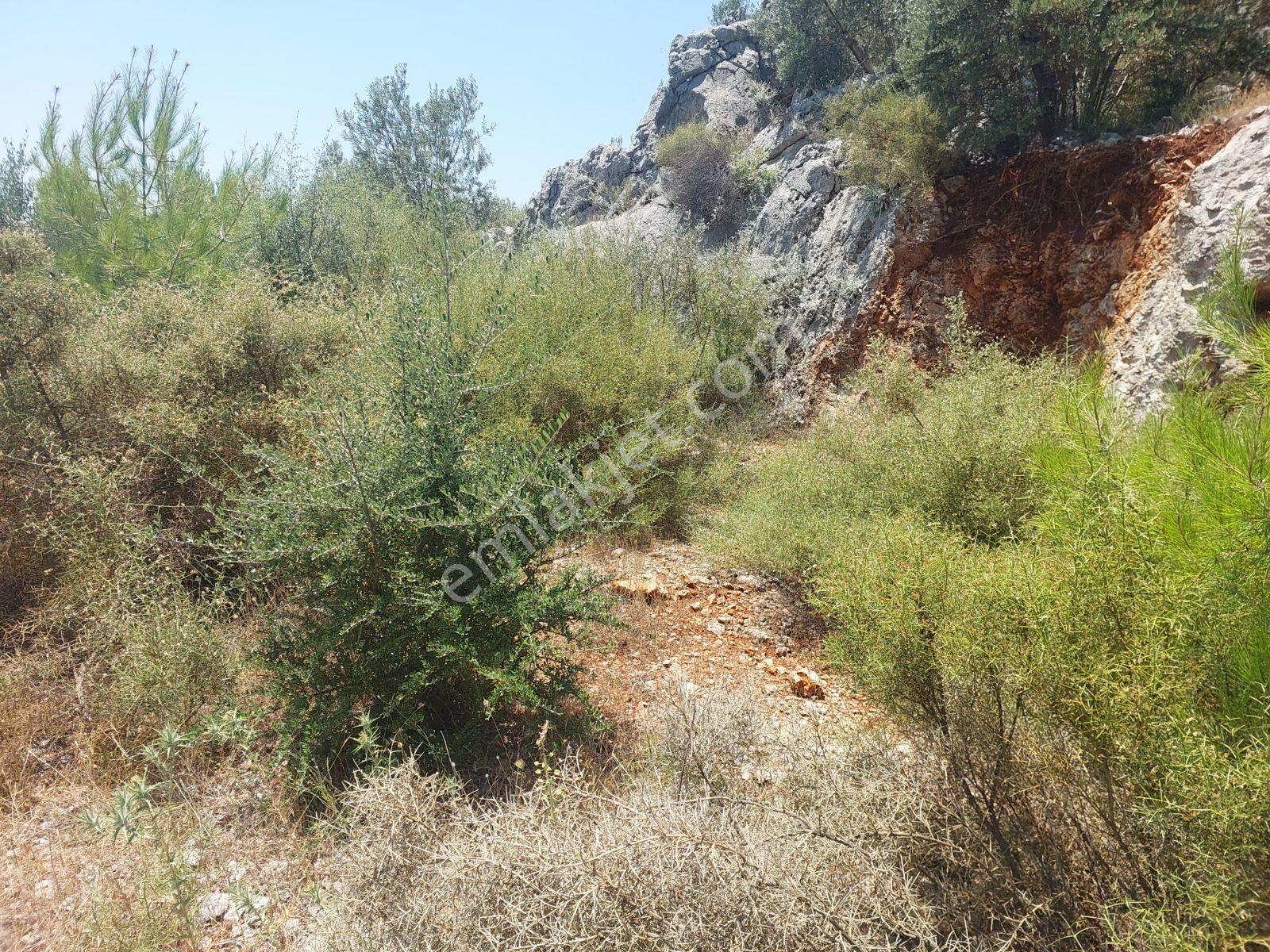 Fethiye İnlice Mh.de Müstakil Satılık 2785 M2 Tarım Dışı Arazi — fotoğraf 20