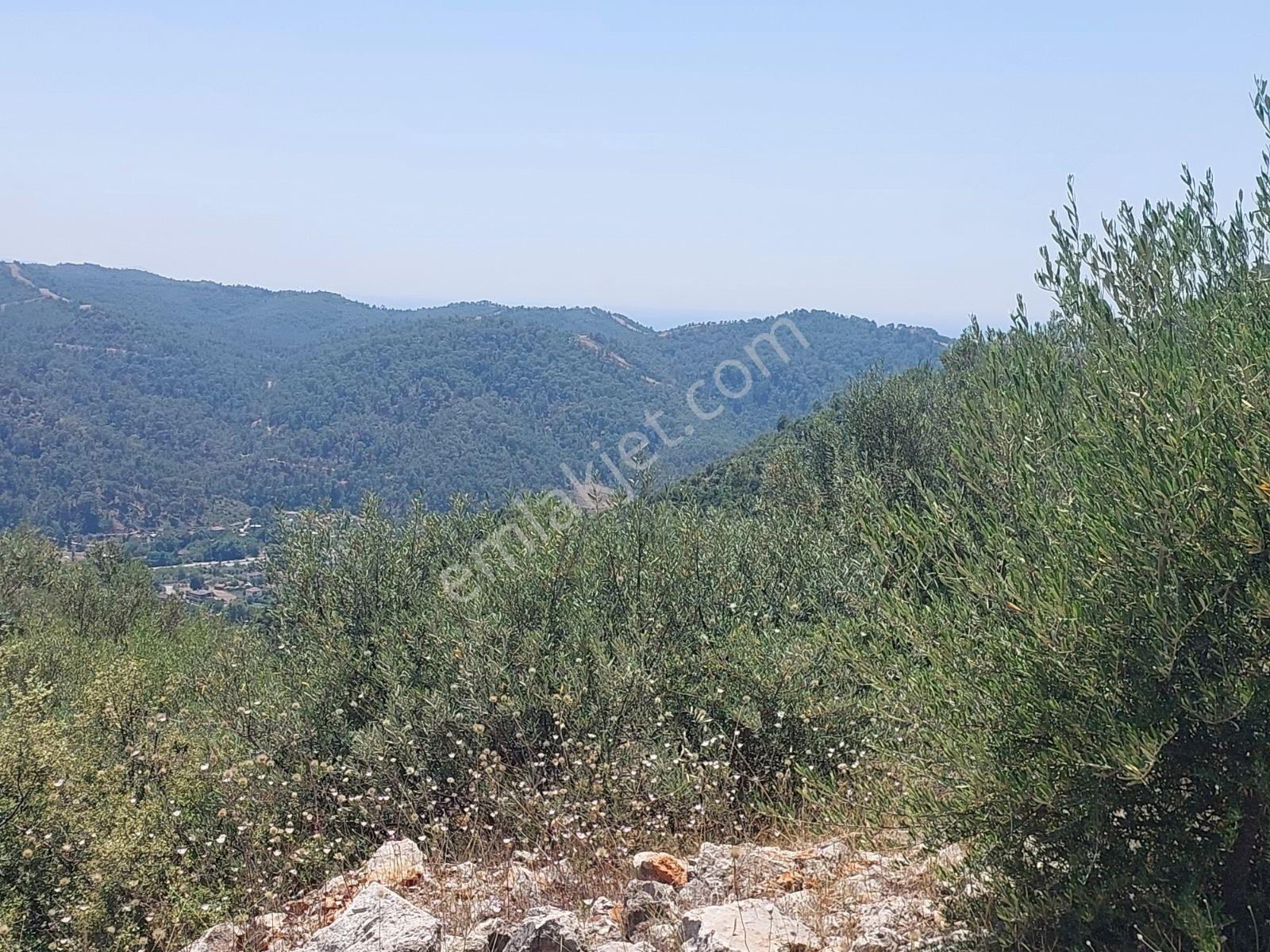 Fethiye İnlice Mh.de Müstakil Satılık 2785 M2 Tarım Dışı Arazi — fotoğraf 21