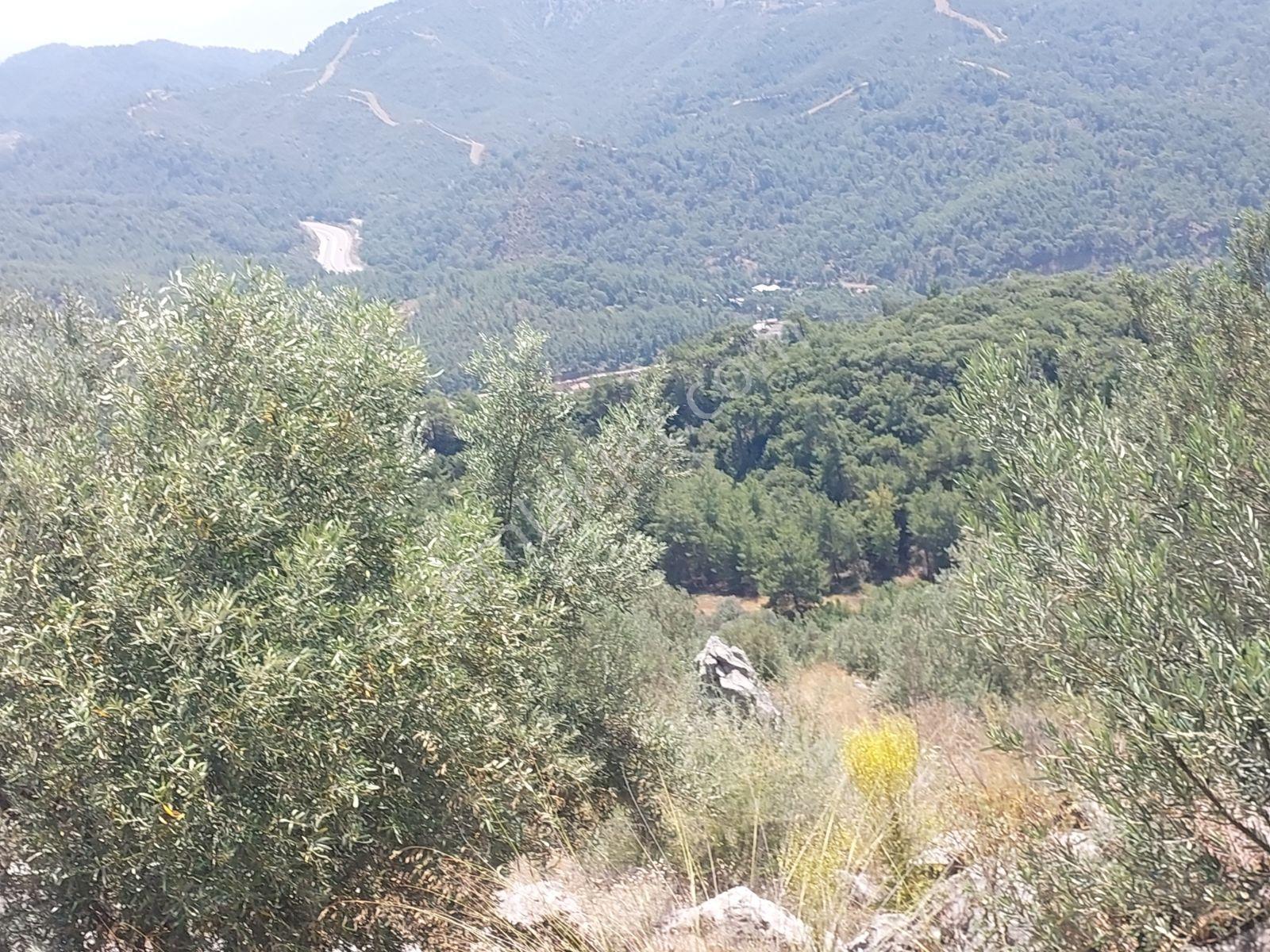 Fethiye İnlice Mh.de Müstakil Satılık 2785 M2 Tarım Dışı Arazi — fotoğraf 22