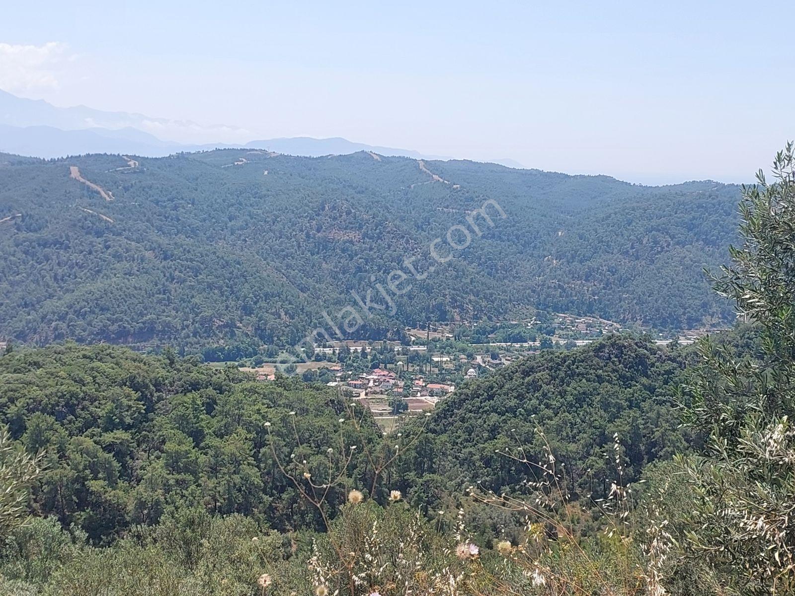 Fethiye İnlice Mh.de Müstakil Satılık 2785 M2 Tarım Dışı Arazi — fotoğraf 23