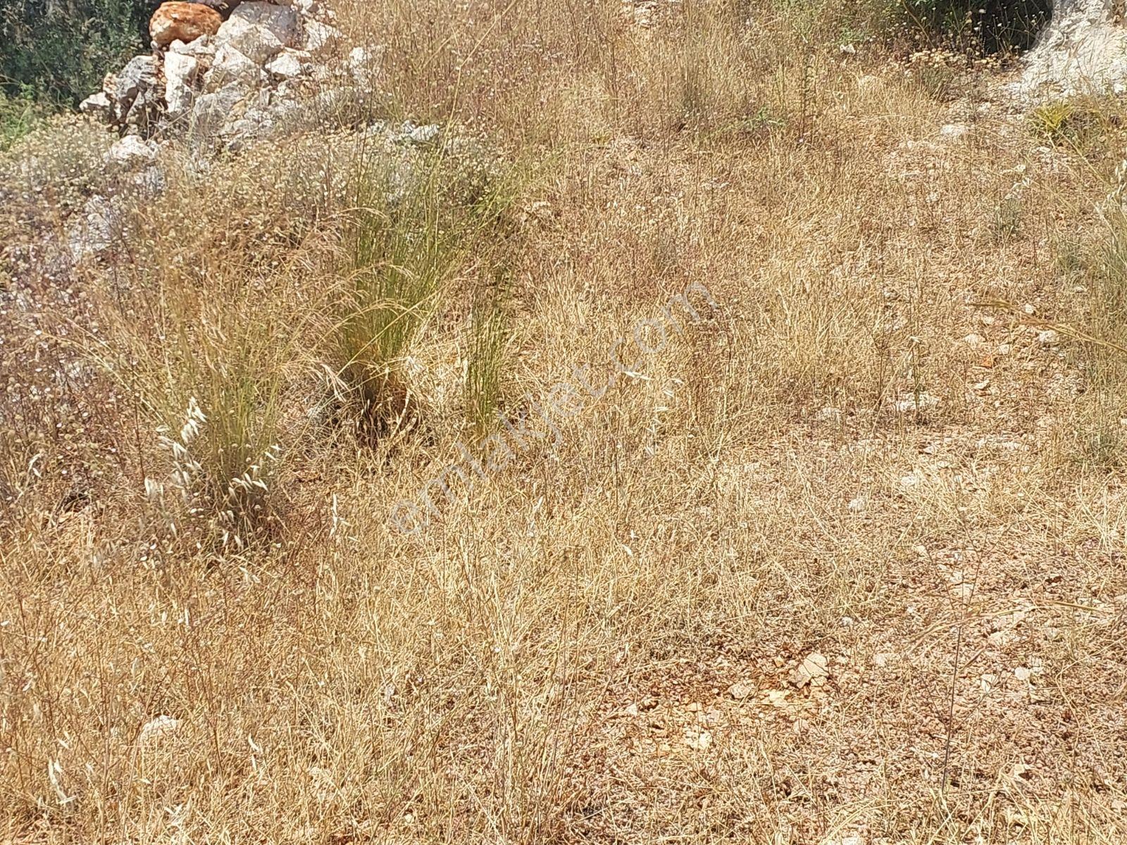 Fethiye İnlice Mh.de Müstakil Satılık 2785 M2 Tarım Dışı Arazi — fotoğraf 24