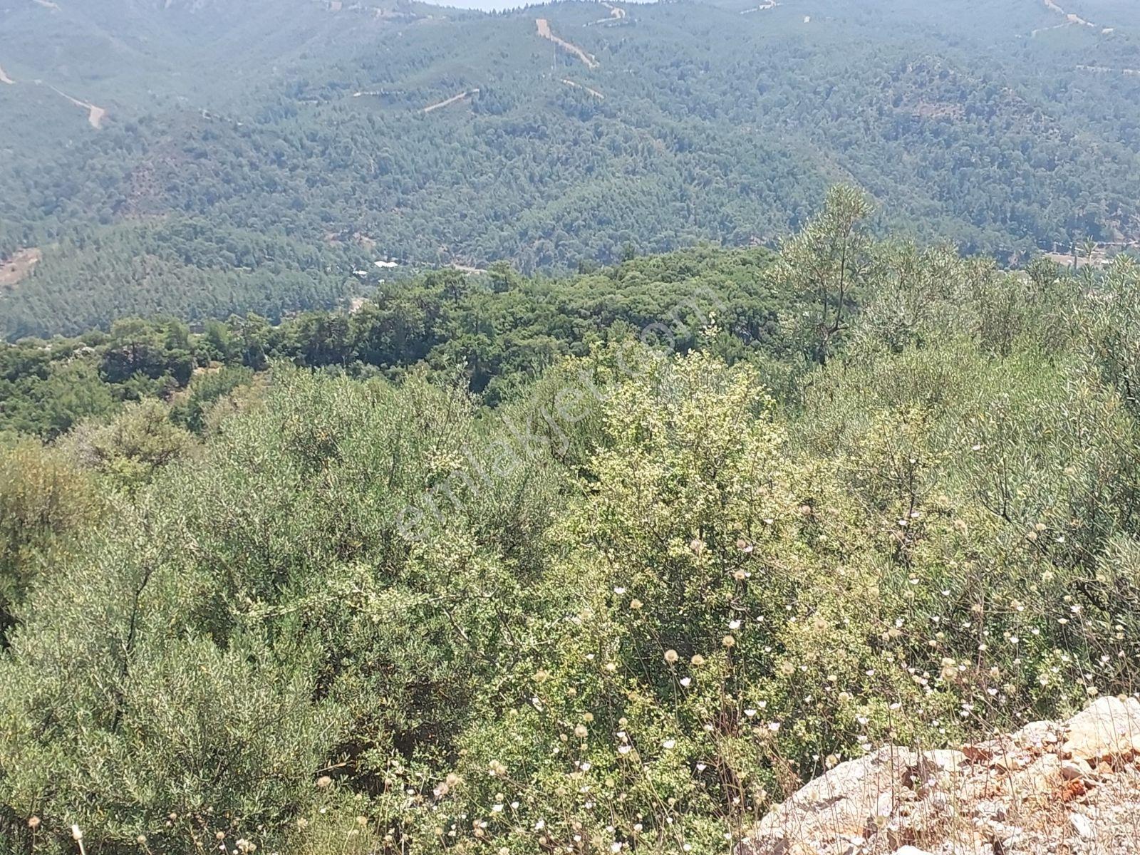 Fethiye İnlice Mh.de Müstakil Satılık 2785 M2 Tarım Dışı Arazi — fotoğraf 25