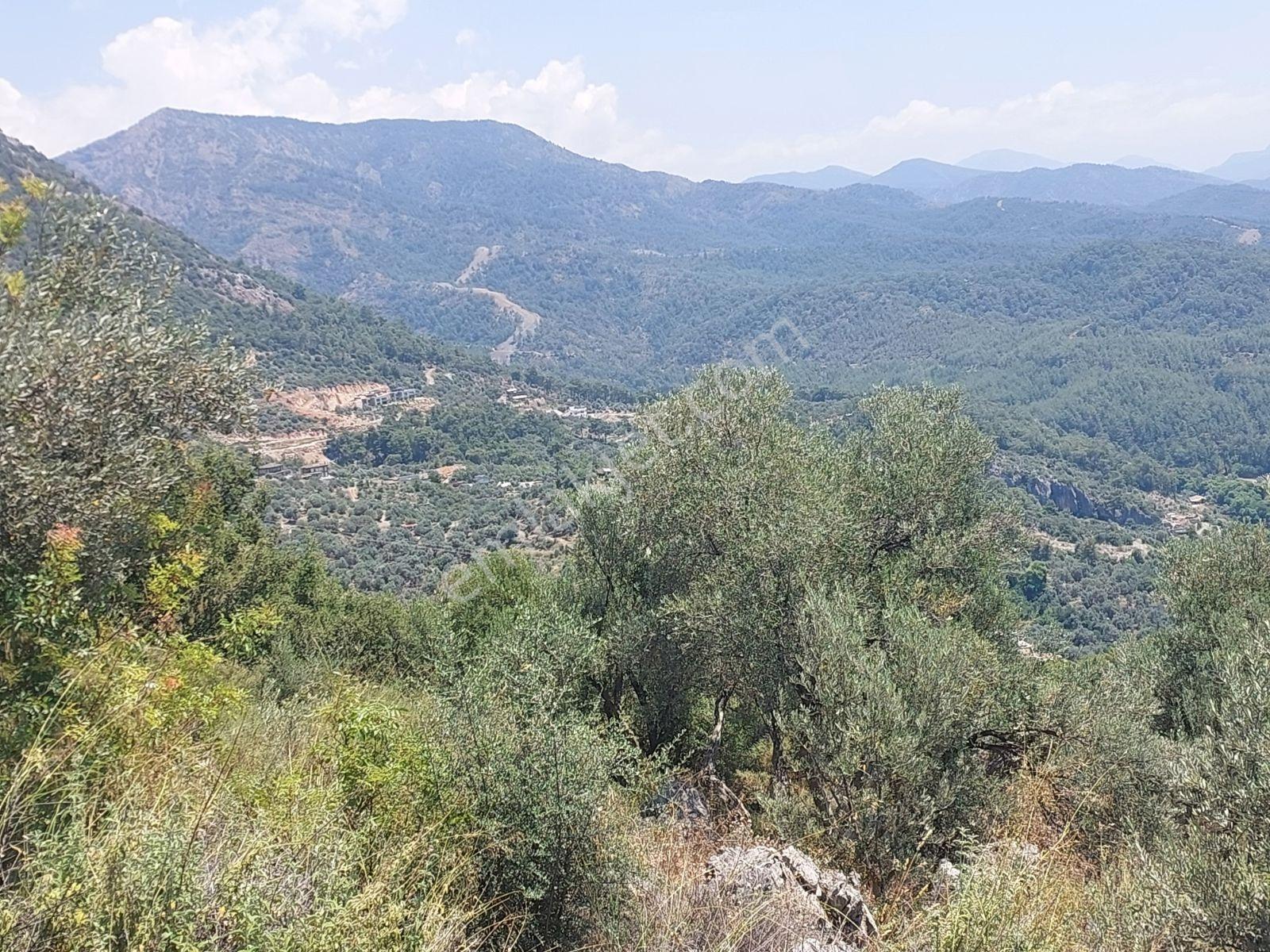 Fethiye İnlice Mh.de Müstakil Satılık 2785 M2 Tarım Dışı Arazi — fotoğraf 27