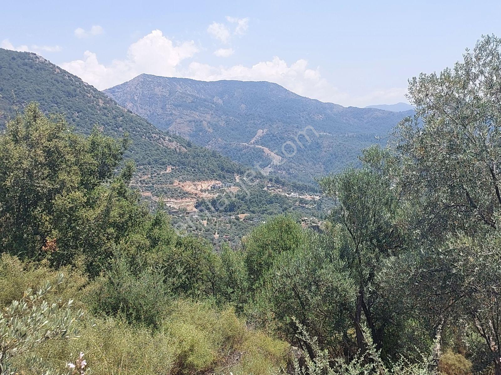 Fethiye İnlice Mh.de Müstakil Satılık 2785 M2 Tarım Dışı Arazi — fotoğraf 28