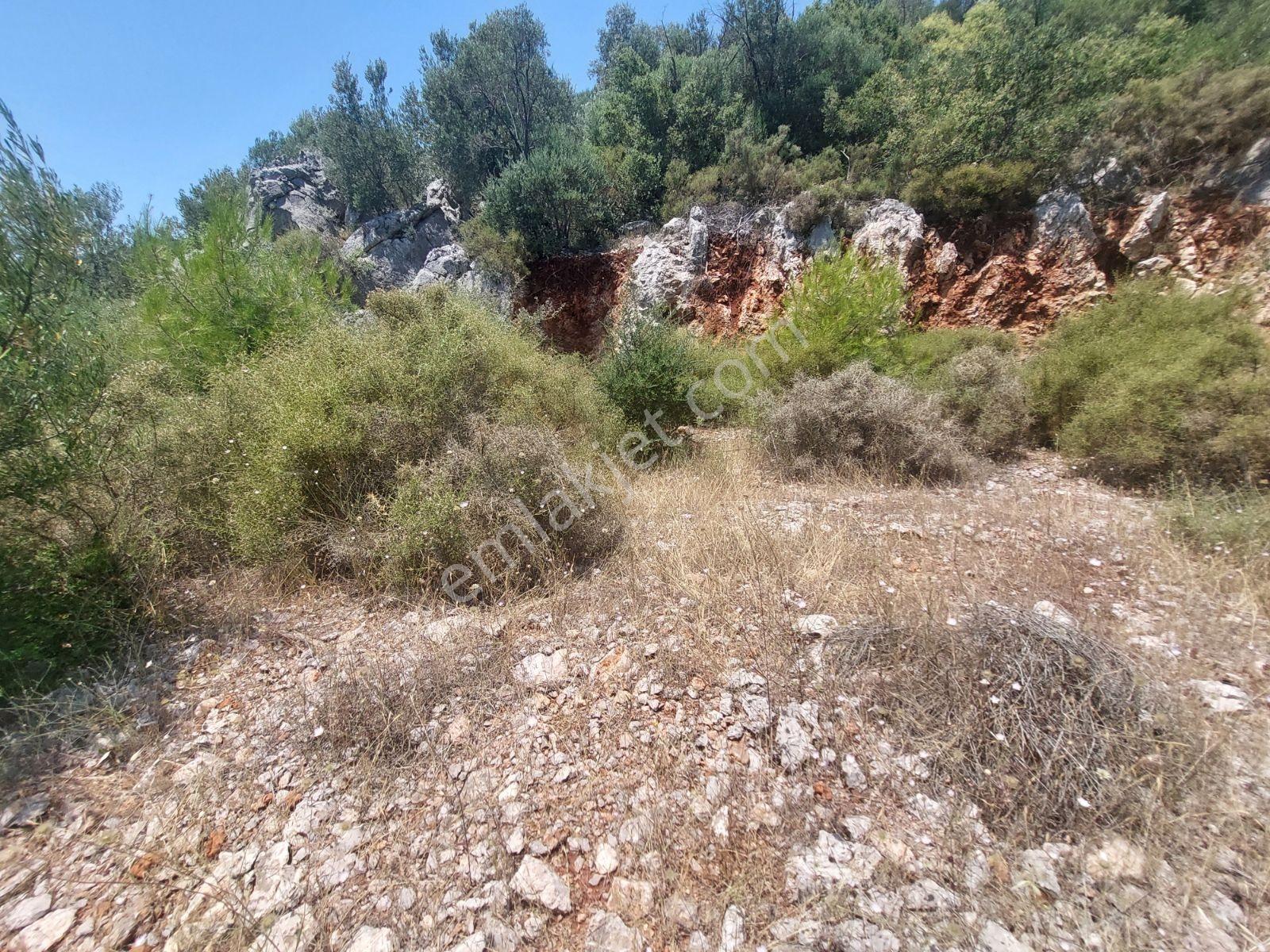 Fethiye İnlice Mh.de Müstakil Satılık 2785 M2 Tarım Dışı Arazi — fotoğraf 29