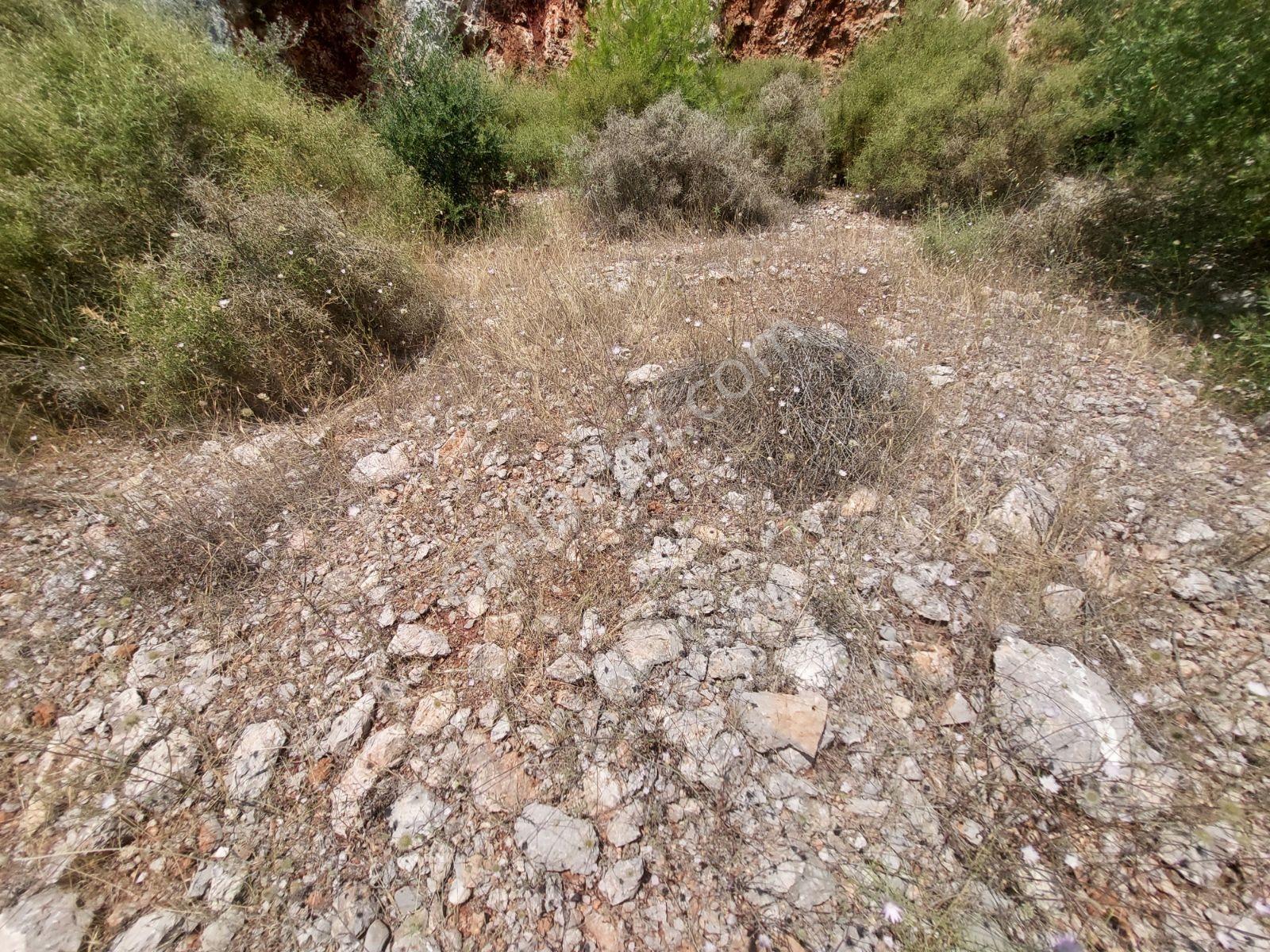 Fethiye İnlice Mh.de Müstakil Satılık 2785 M2 Tarım Dışı Arazi — fotoğraf 30