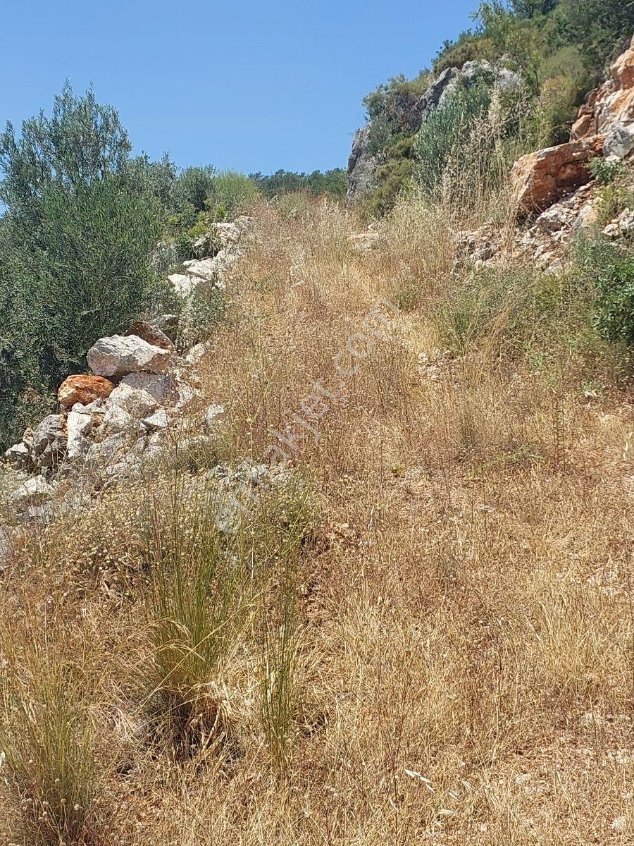 Fethiye İnlice Mh.de Müstakil Satılık 2785 M2 Tarım Dışı Arazi — fotoğraf 31