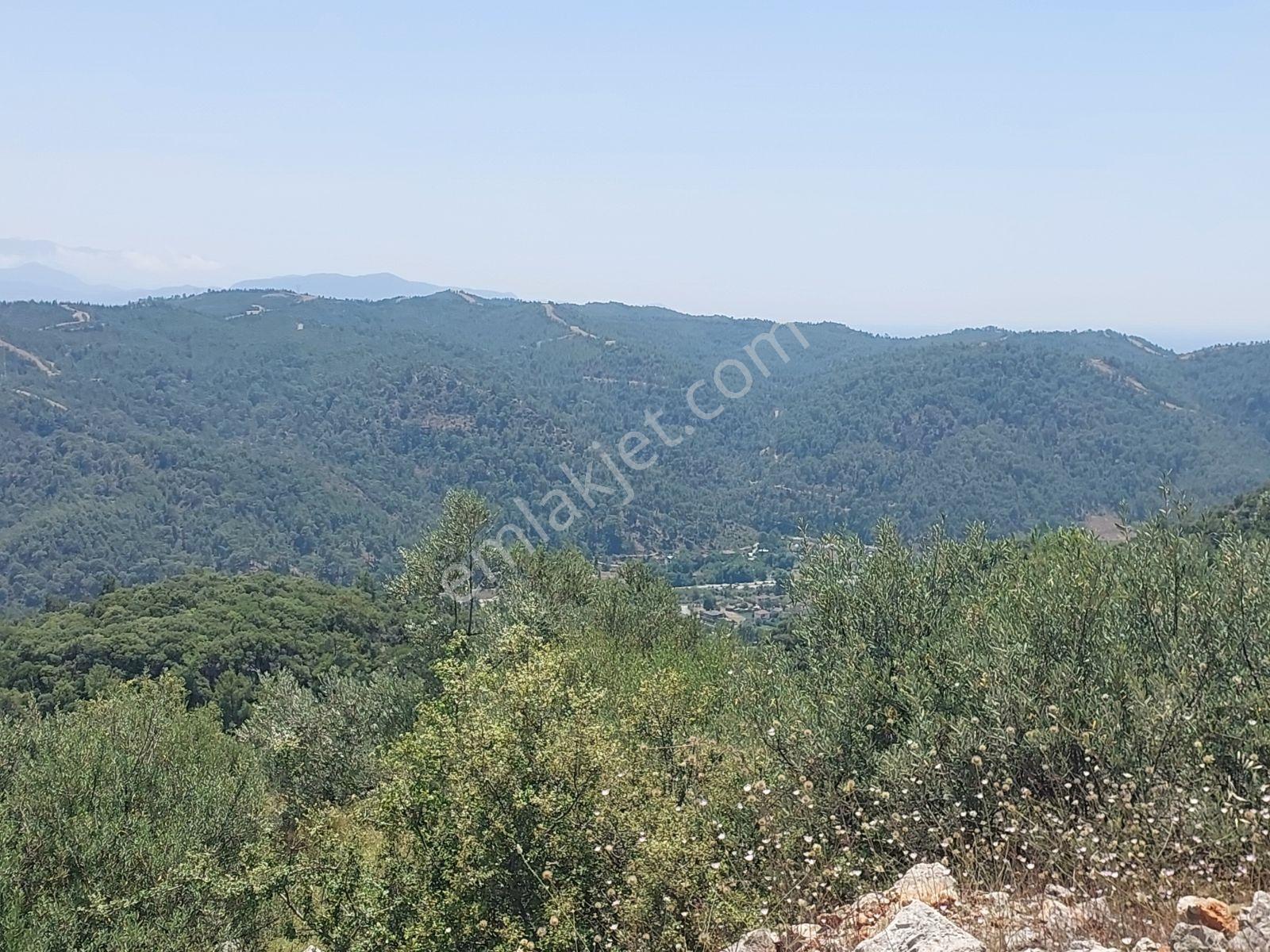 Fethiye İnlice Mh.de Müstakil Satılık 2785 M2 Tarım Dışı Arazi — fotoğraf 32
