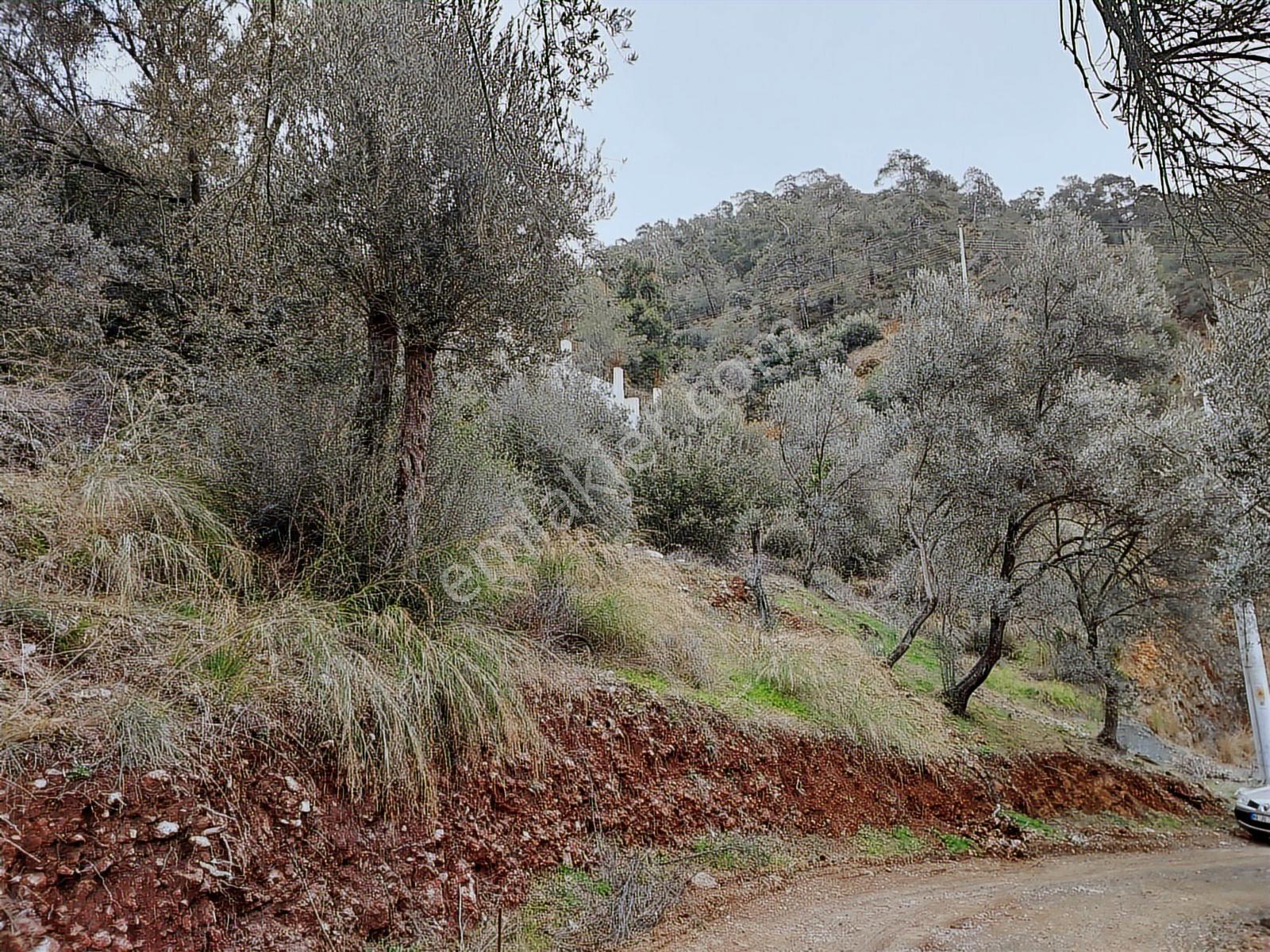 Fethiye İnlice Mh.de Satılık Mustakil 1405m2 Gayrimenkul