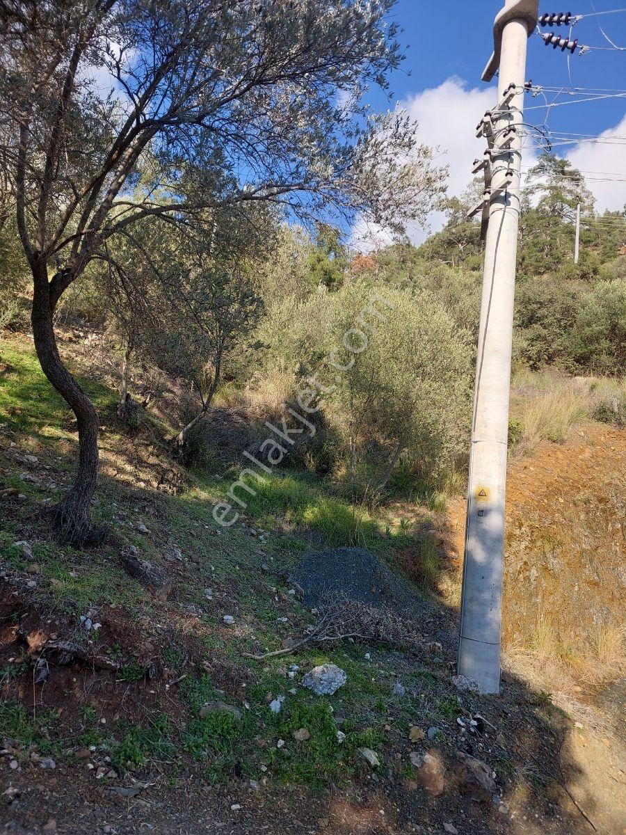 Fethiye İnlice Mh.de Satılık Mustakil 1405m2 Gayrimenkul — fotoğraf 2