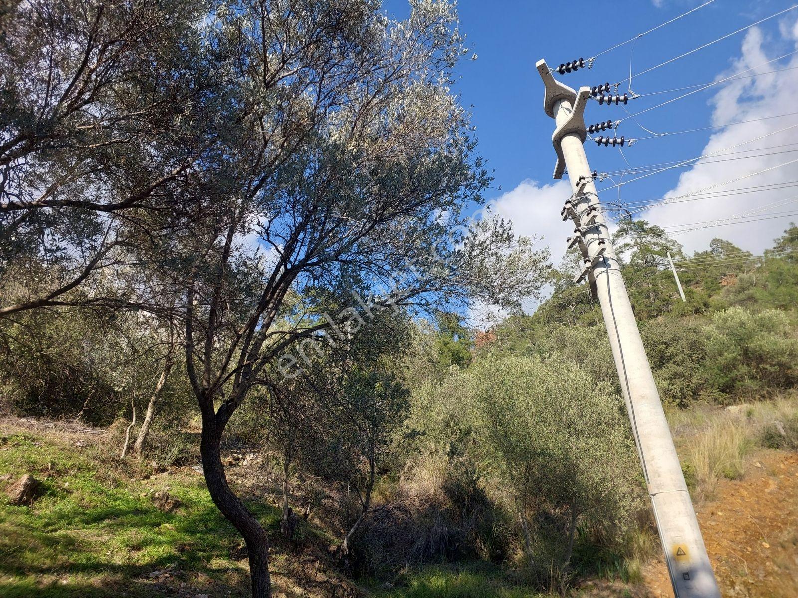 Fethiye İnlice Mh.de Satılık Mustakil 1405m2 Gayrimenkul — fotoğraf 4