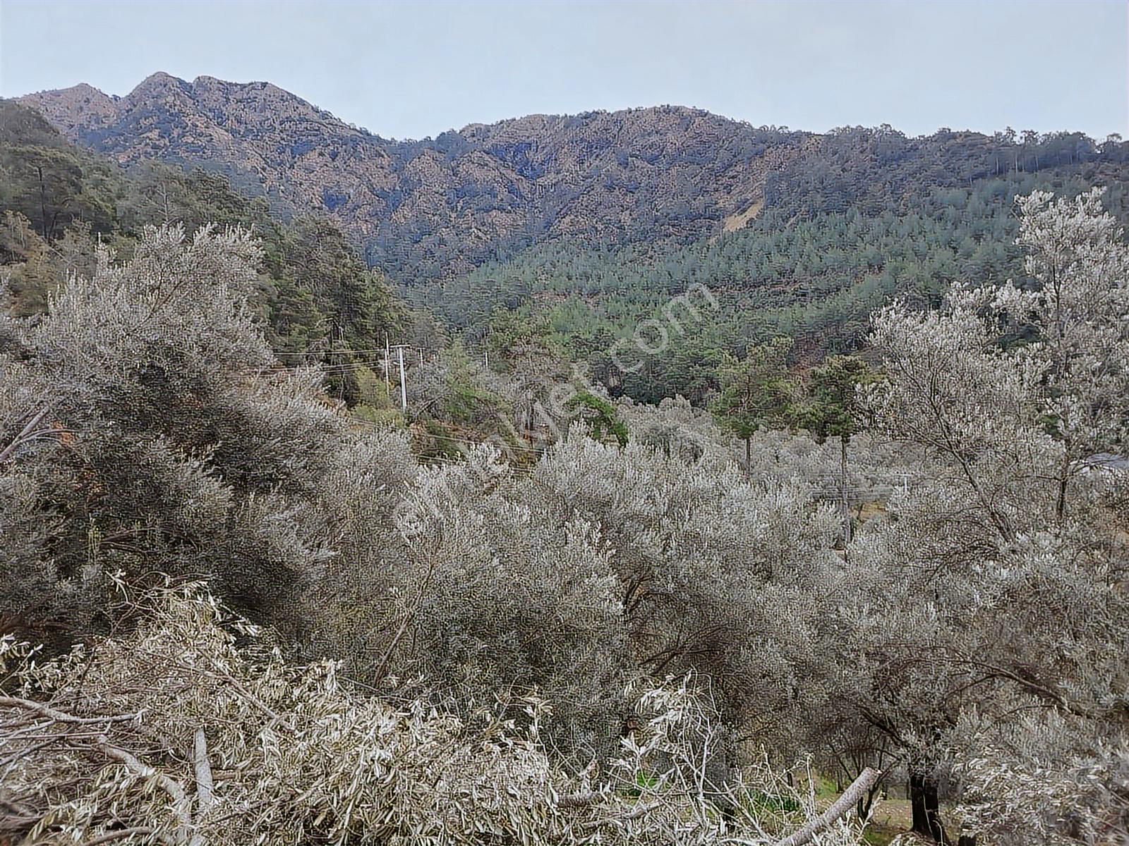 Fethiye İnlice Mh.de Satılık Mustakil 1405m2 Gayrimenkul — fotoğraf 8