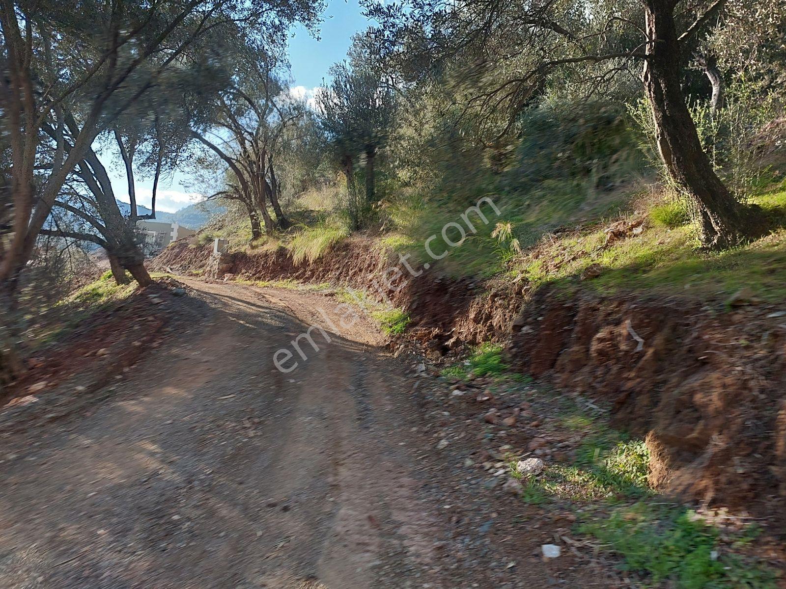Fethiye İnlice Mh.de Satılık Mustakil 1405m2 Gayrimenkul — fotoğraf 12
