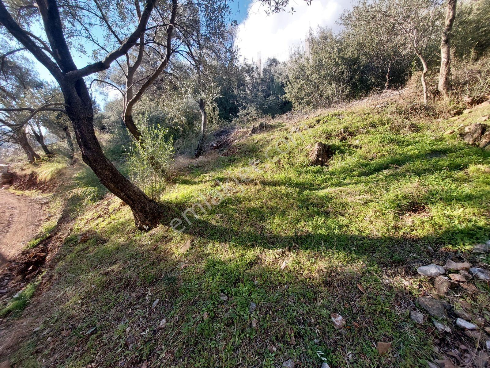 Fethiye İnlice Mh.de Satılık Mustakil 1405m2 Gayrimenkul — fotoğraf 14